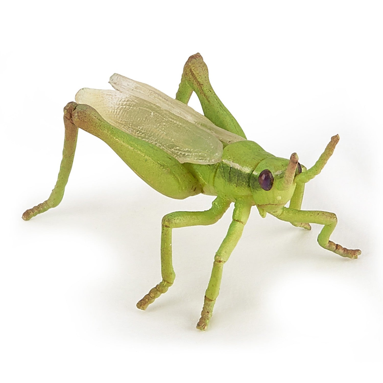 papo-garden-animals-figurine-sauterelle-verte-jardin image 1