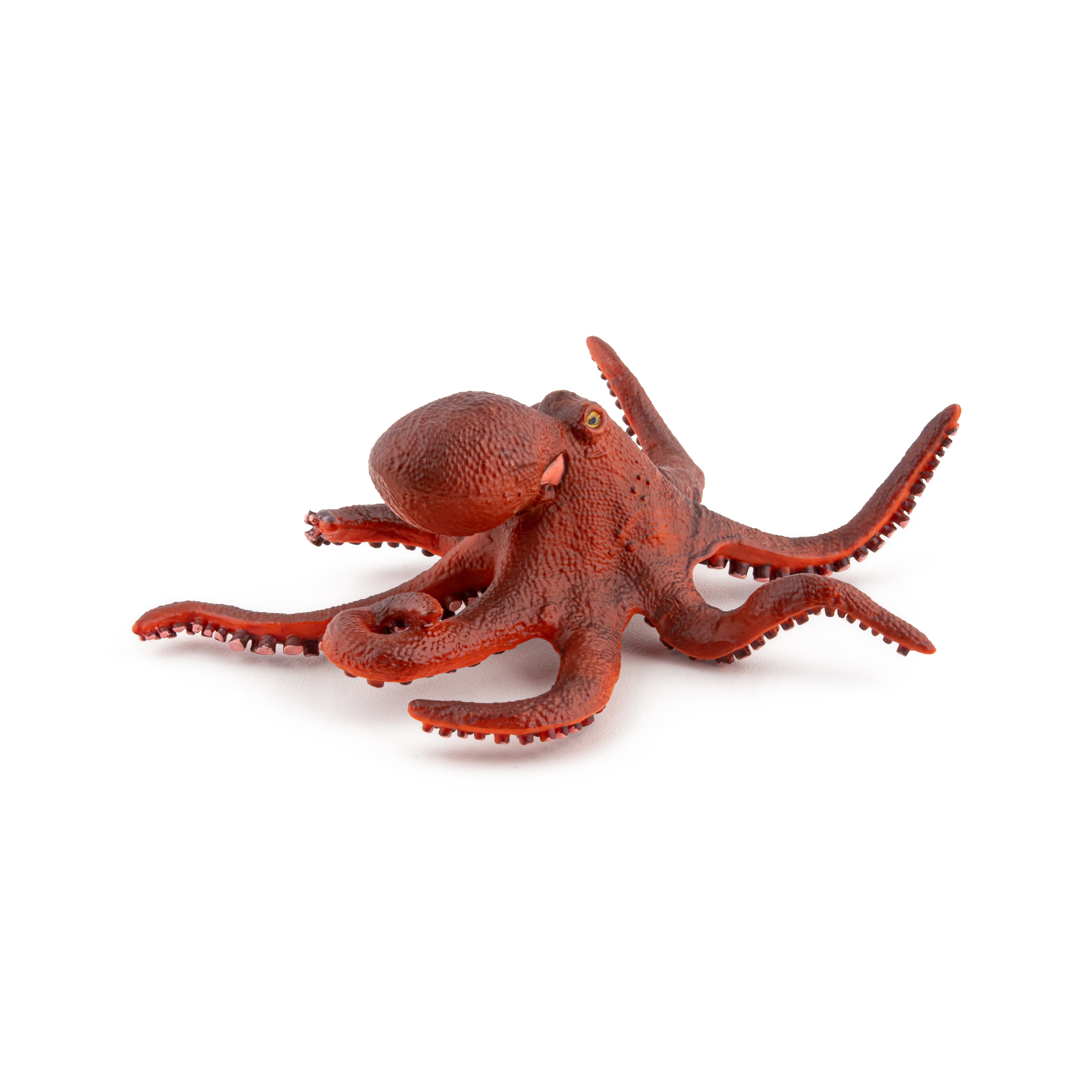 papo-marine-world-figurine-petite-pieuvre-animal-marin image 3
