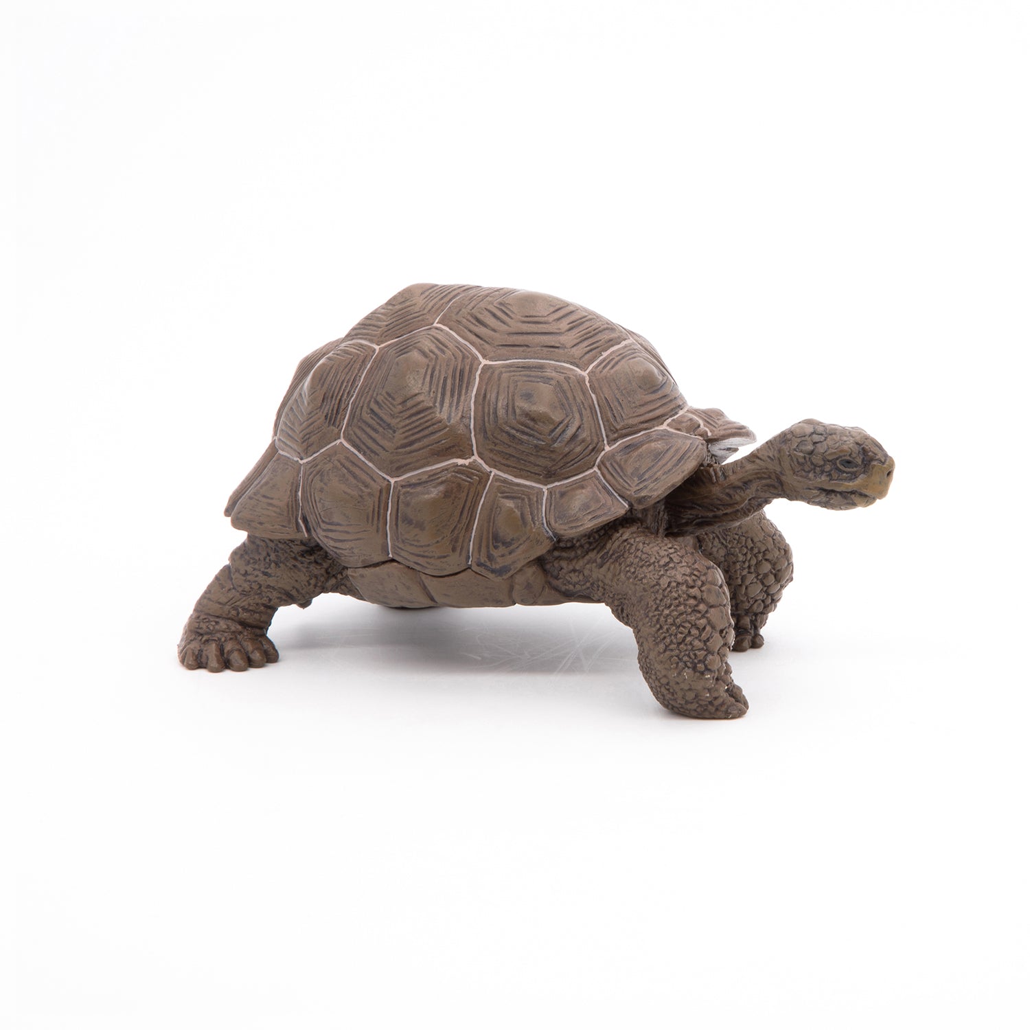 papo-wildlife-tortue-des-galapagos-figurine-reptile-g-ante image 5