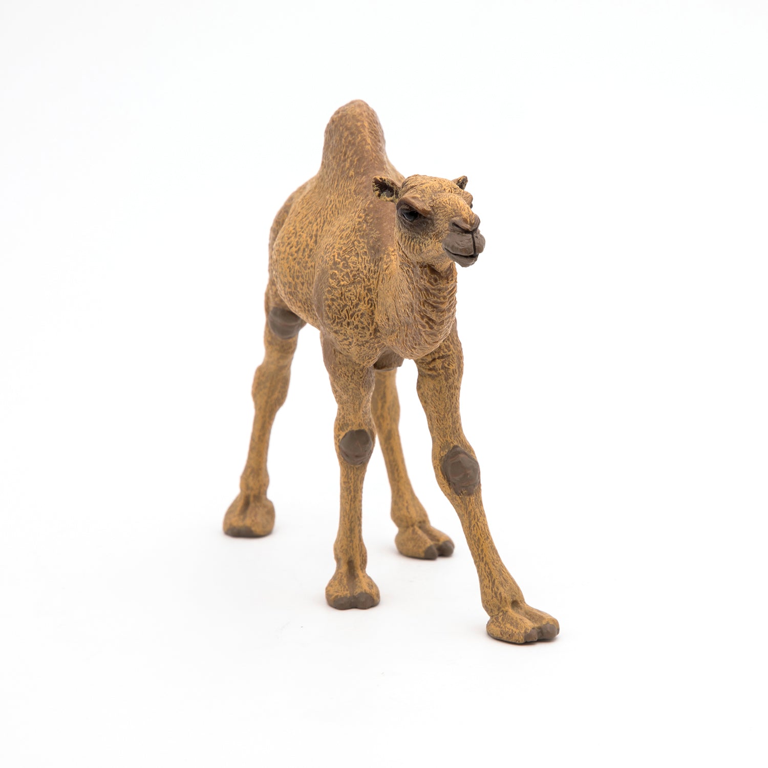 papo-wildlife-dromadaire-figurine-animal-d-sert image 5
