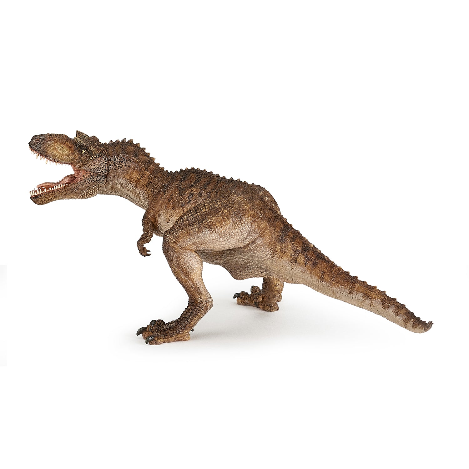papo-dinosaurs-figurine-gorgosaurus-jouet-carnivore-cr-tac image 4