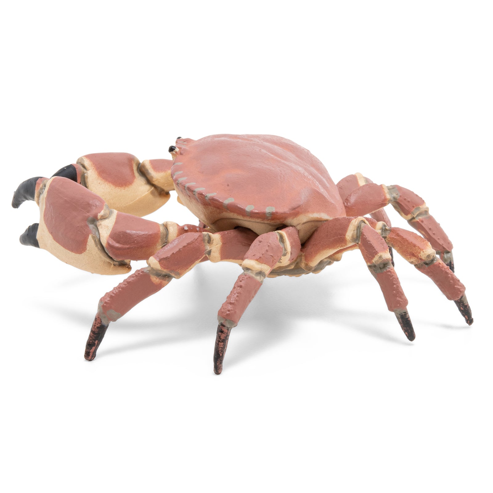 papo-marine-world-crabe-figurine-animal-marin-pinces image 3