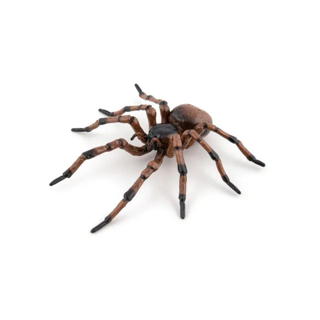 papo-garden-animals-araign-e-commune-figurine-insecte-jardin image 1