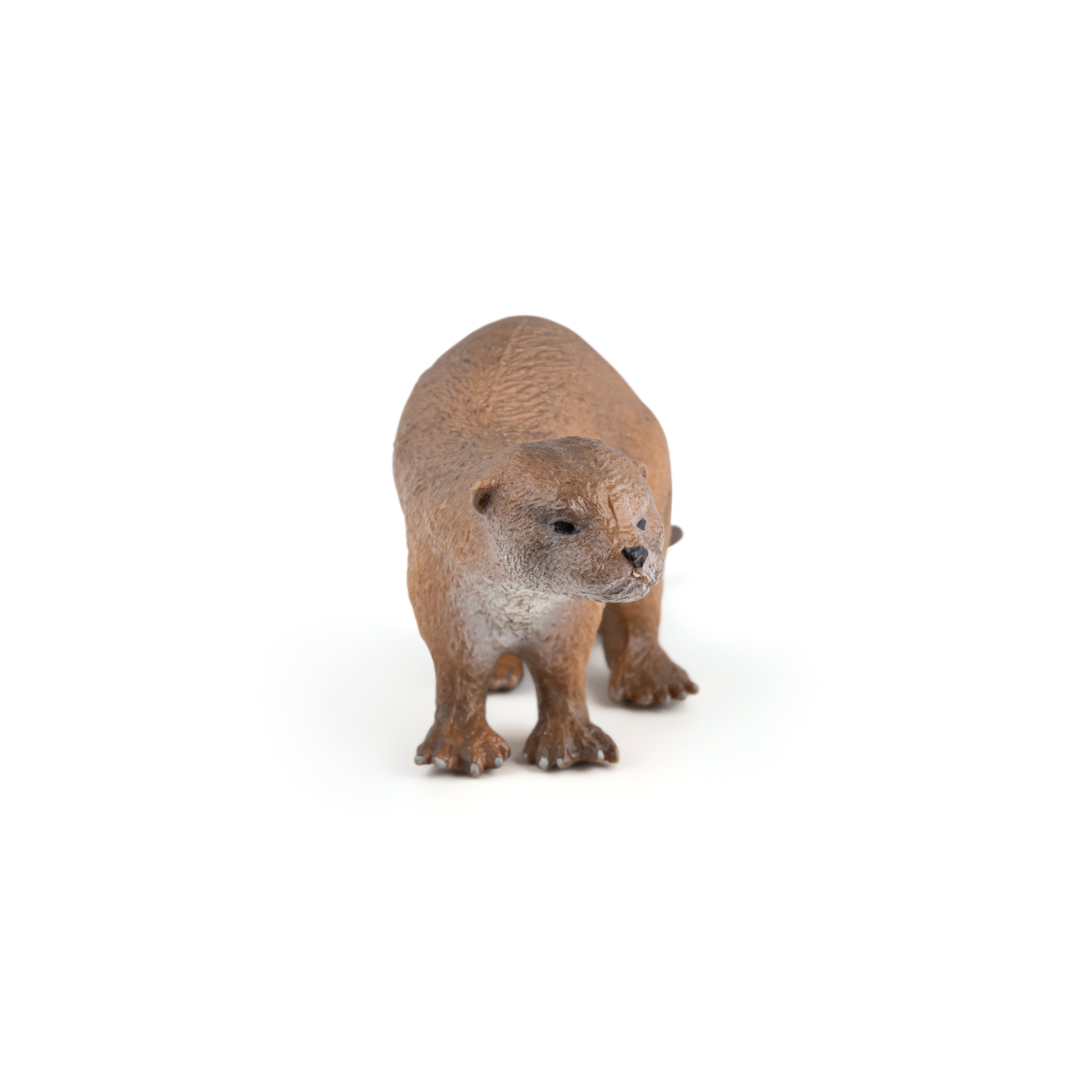 papo-wildlife-figurine-loutre-animal-sauvage-semi-aquatique image 5