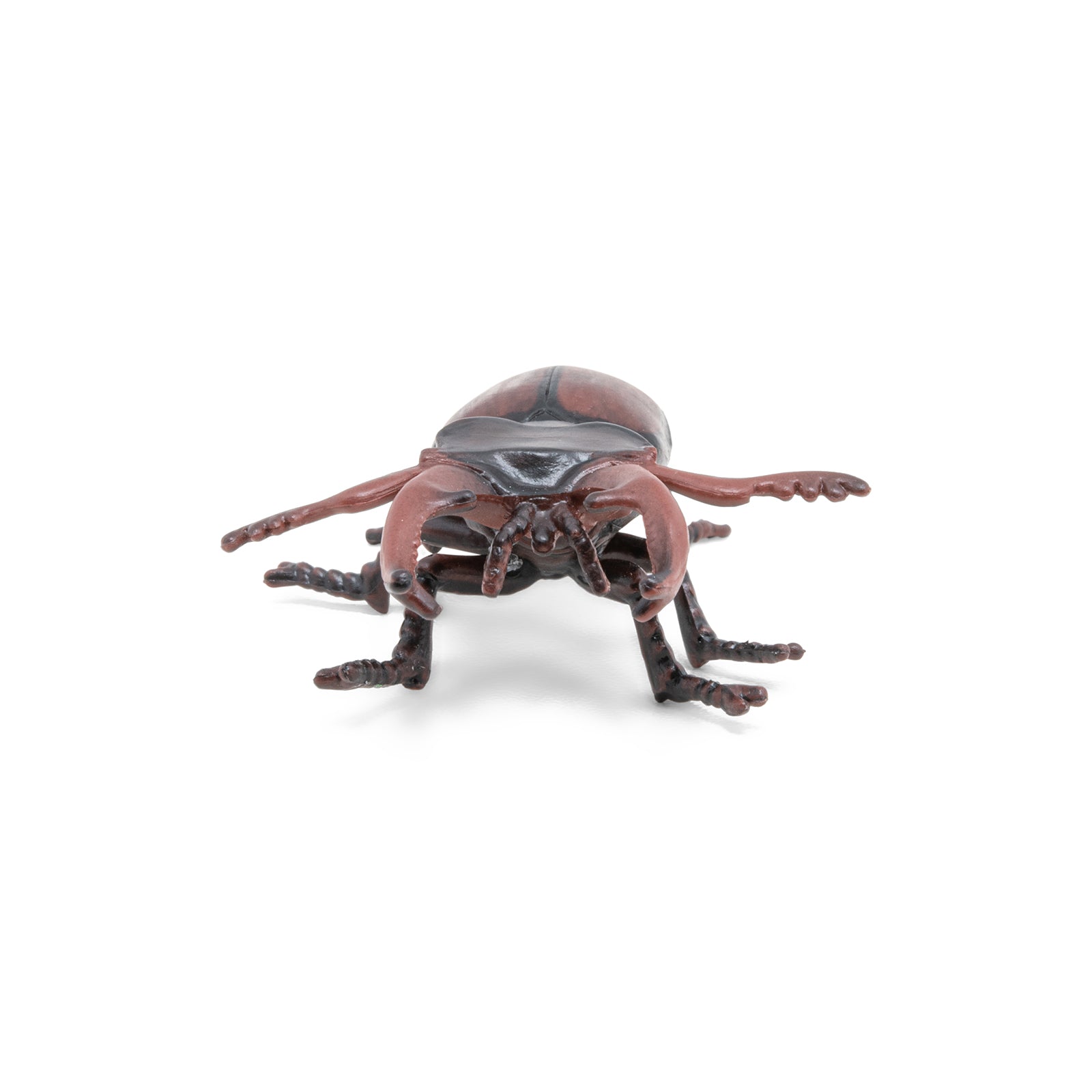 papo-animaux-jardins-lucane-figurine-insecte-col-opt-re image 6
