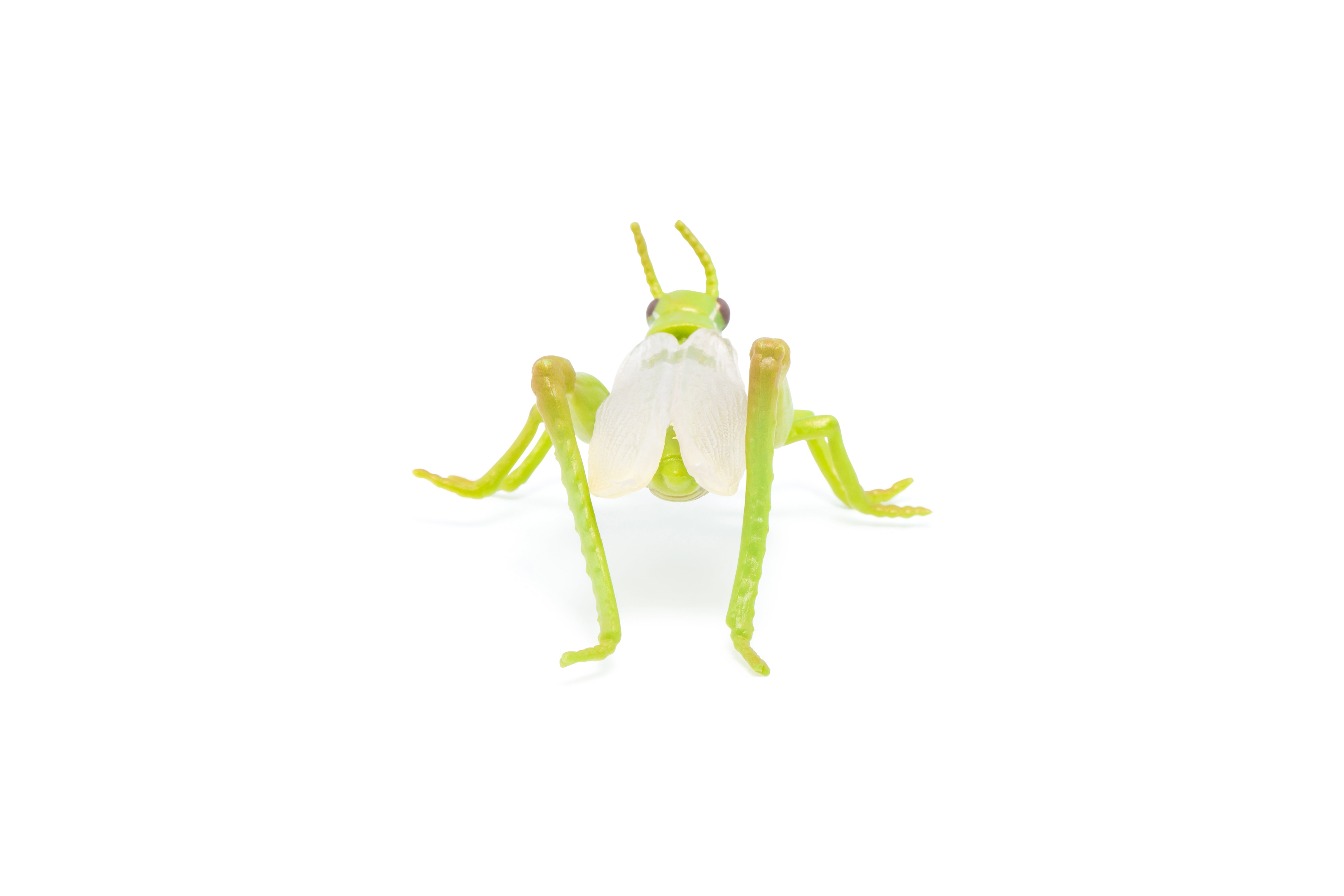 papo-garden-animals-figurine-sauterelle-verte-jardin image 7
