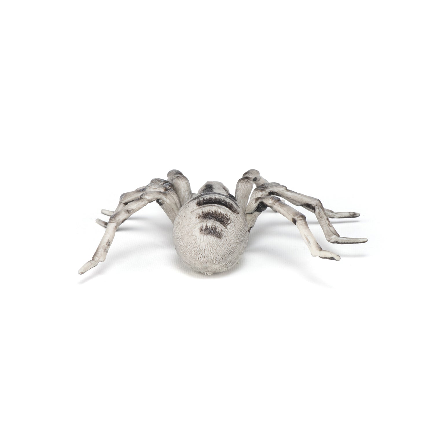 papo-wildlife-tarentule-figurine-araign-e-velue image 4
