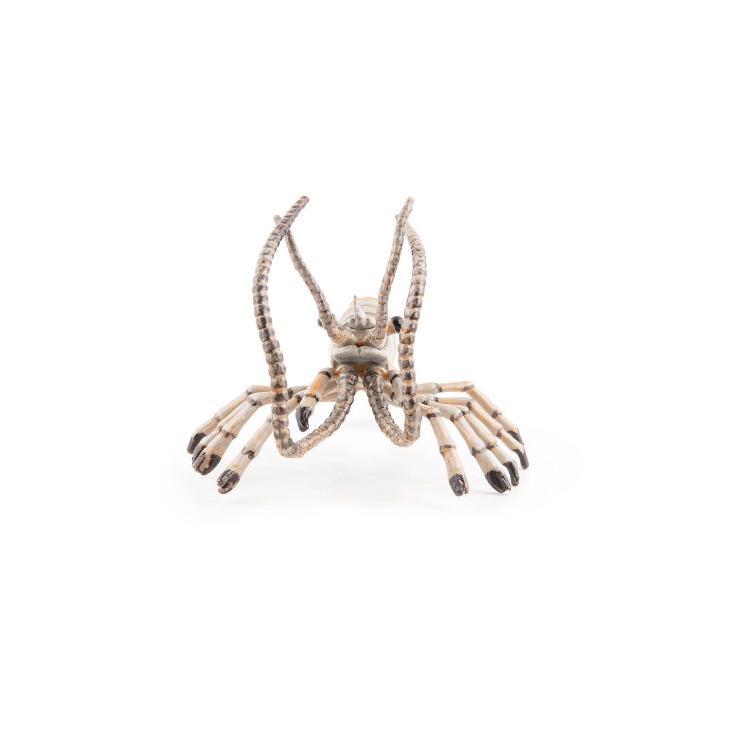 papo-marine-world-figurine-crevette-crustac image 4