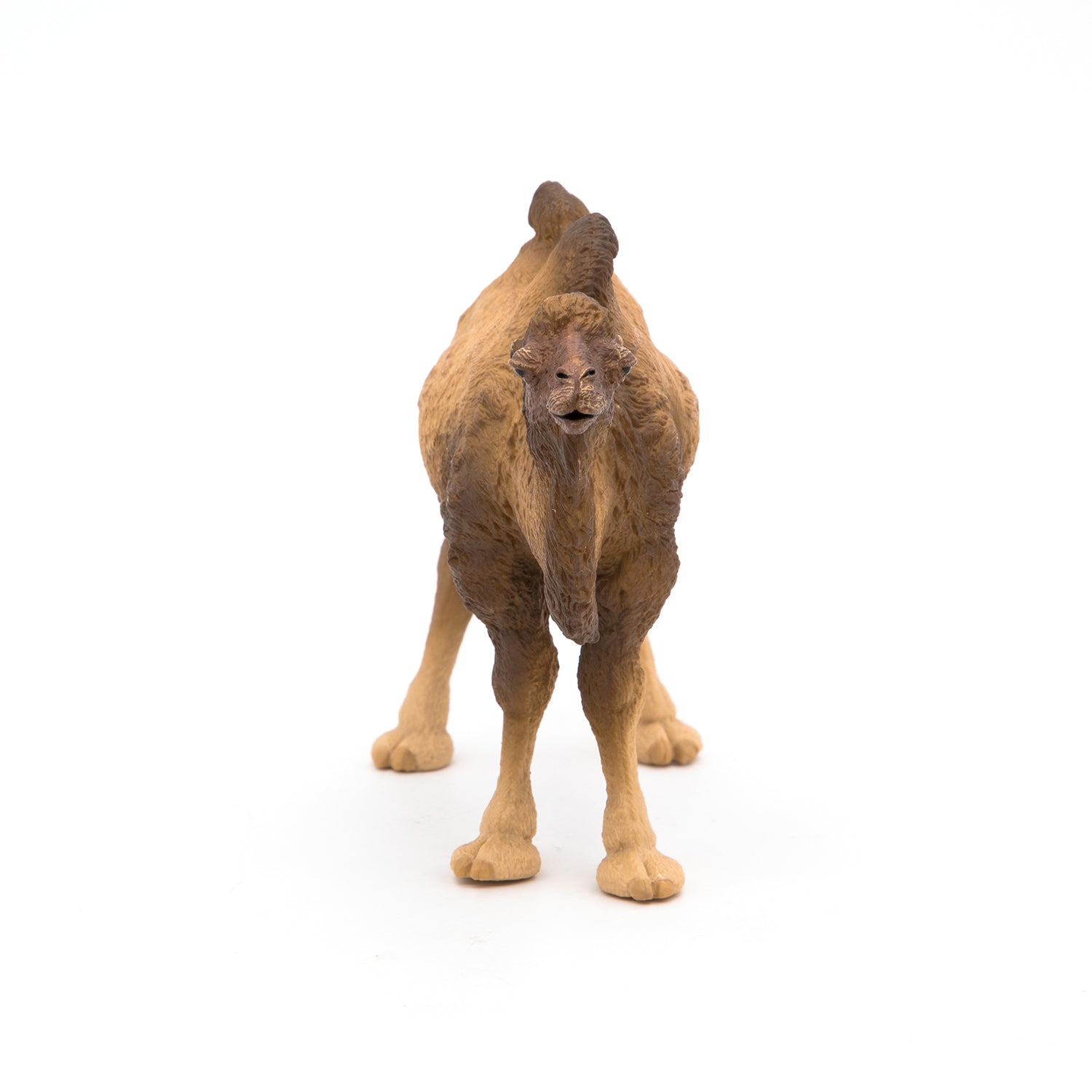papo-wildlife-chameau-de-bactriane-figurine-d-sert image 5