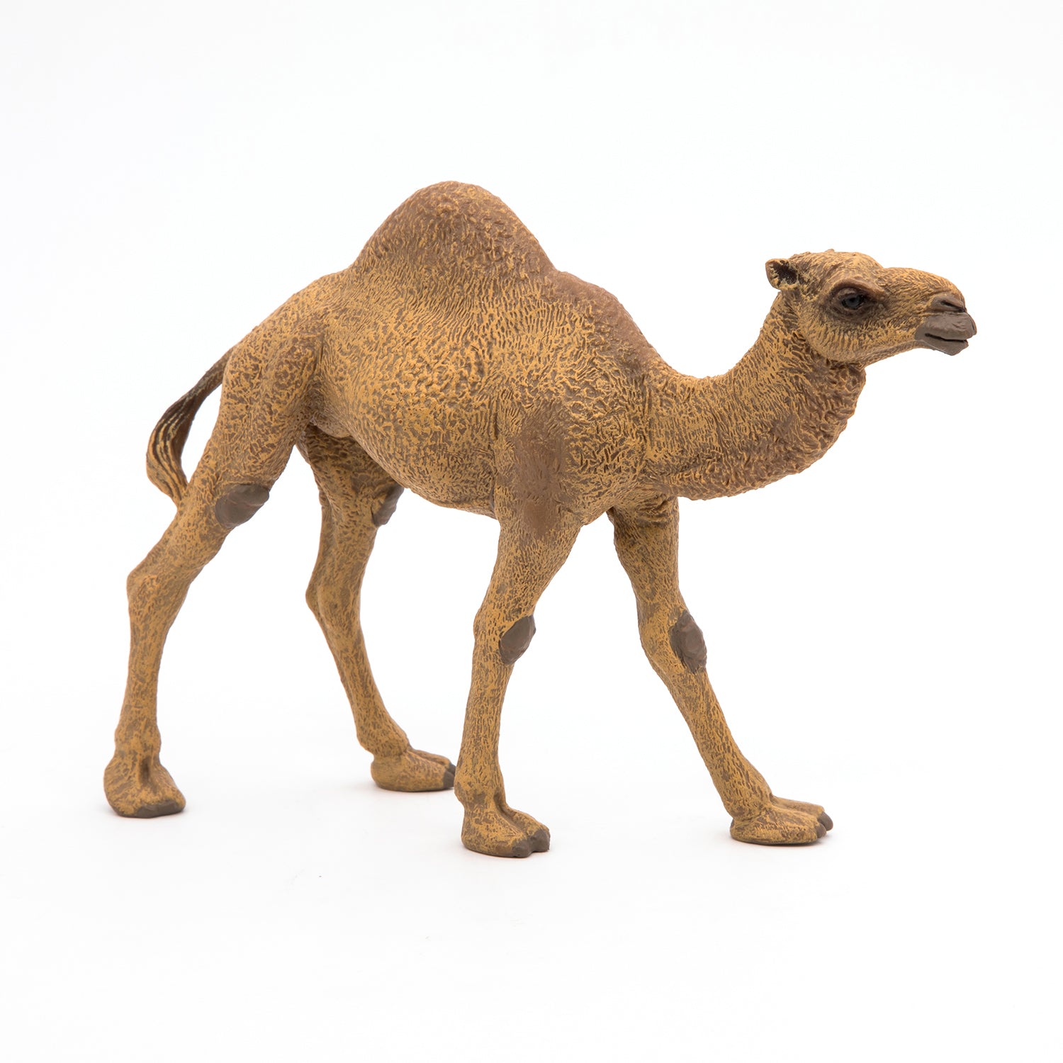 papo-wildlife-dromadaire-figurine-animal-d-sert image 4