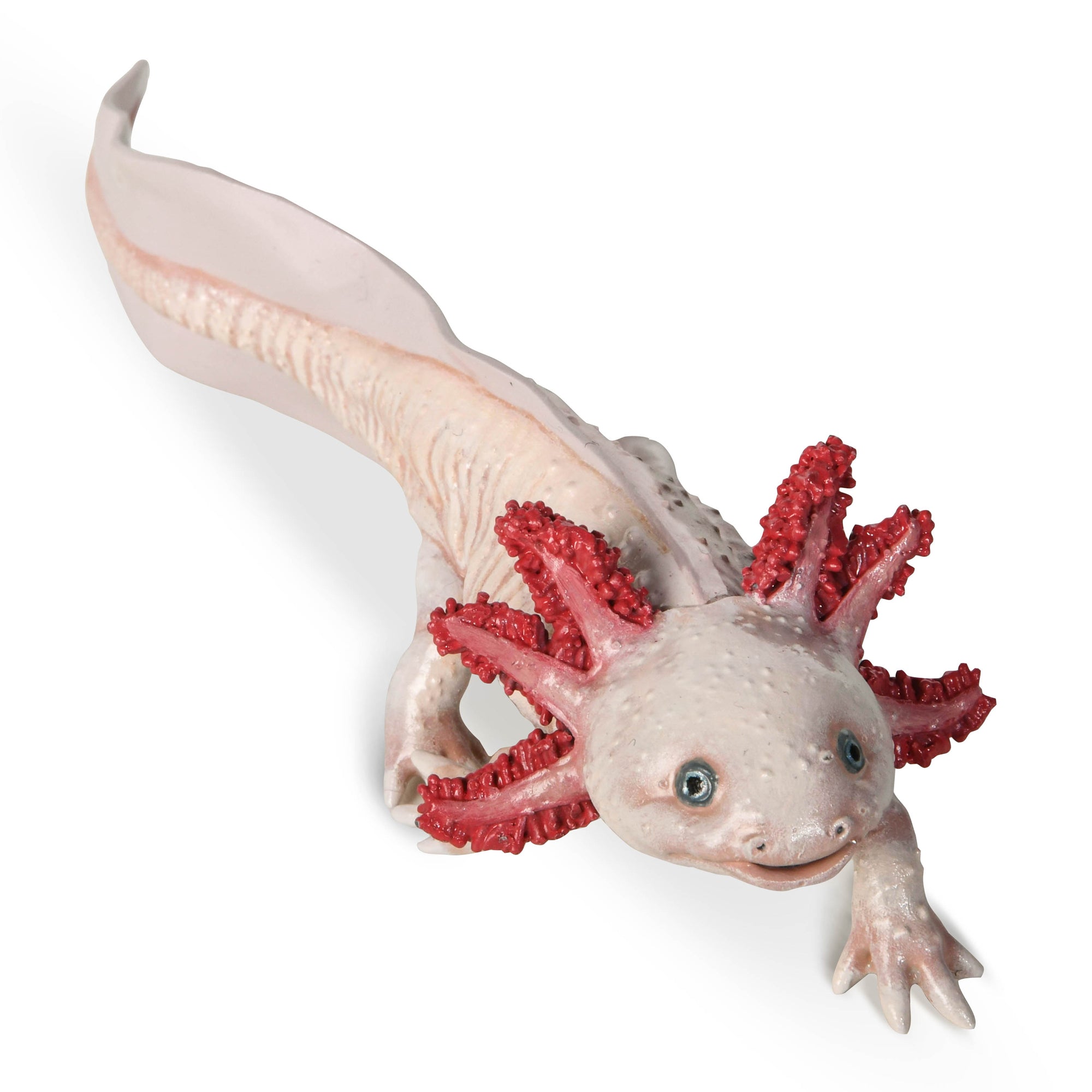 papo-wildlife-axolotl-figurine-amphibien-mexique image 2