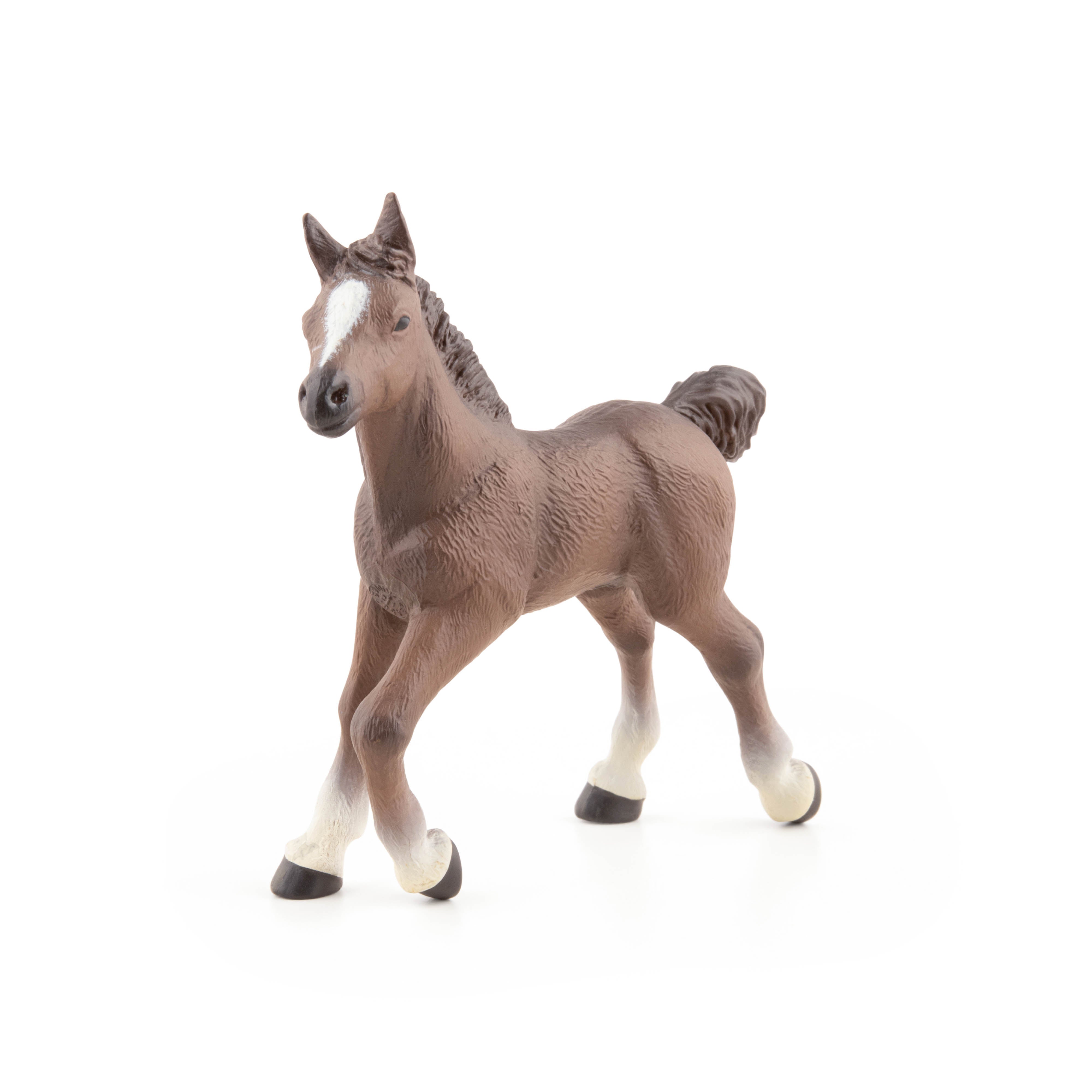 papo-chevaux-poulain-anglo-arabe-figurine-bai image 2