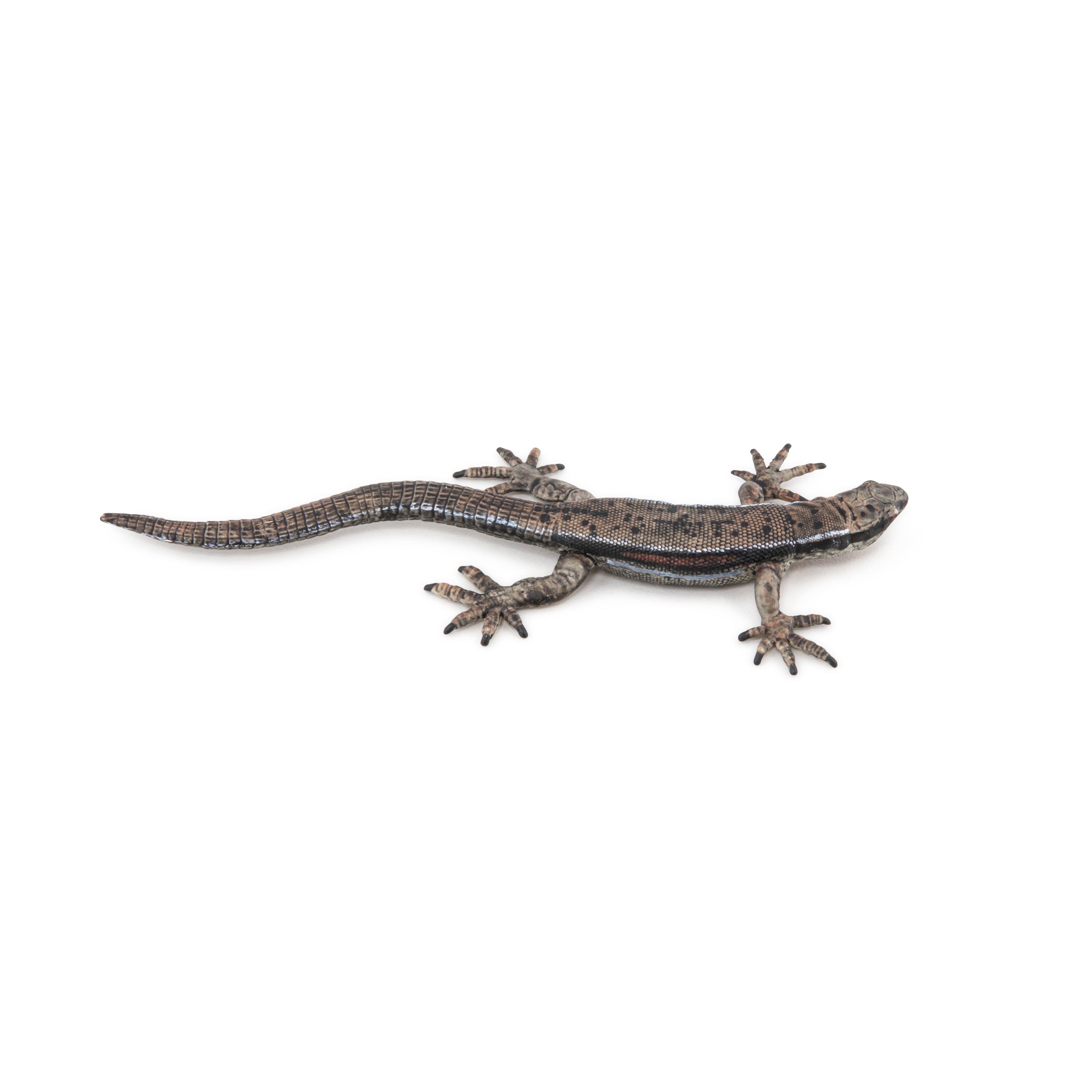papo-garden-animals-l-zard-commun-figurine-jardin image 4