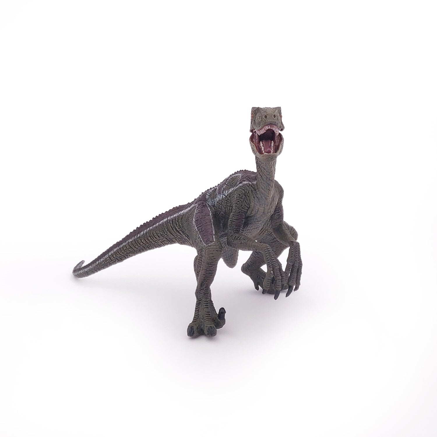 papo-dinosaurs-figurine-v-lociraptor-dinosaure image 4