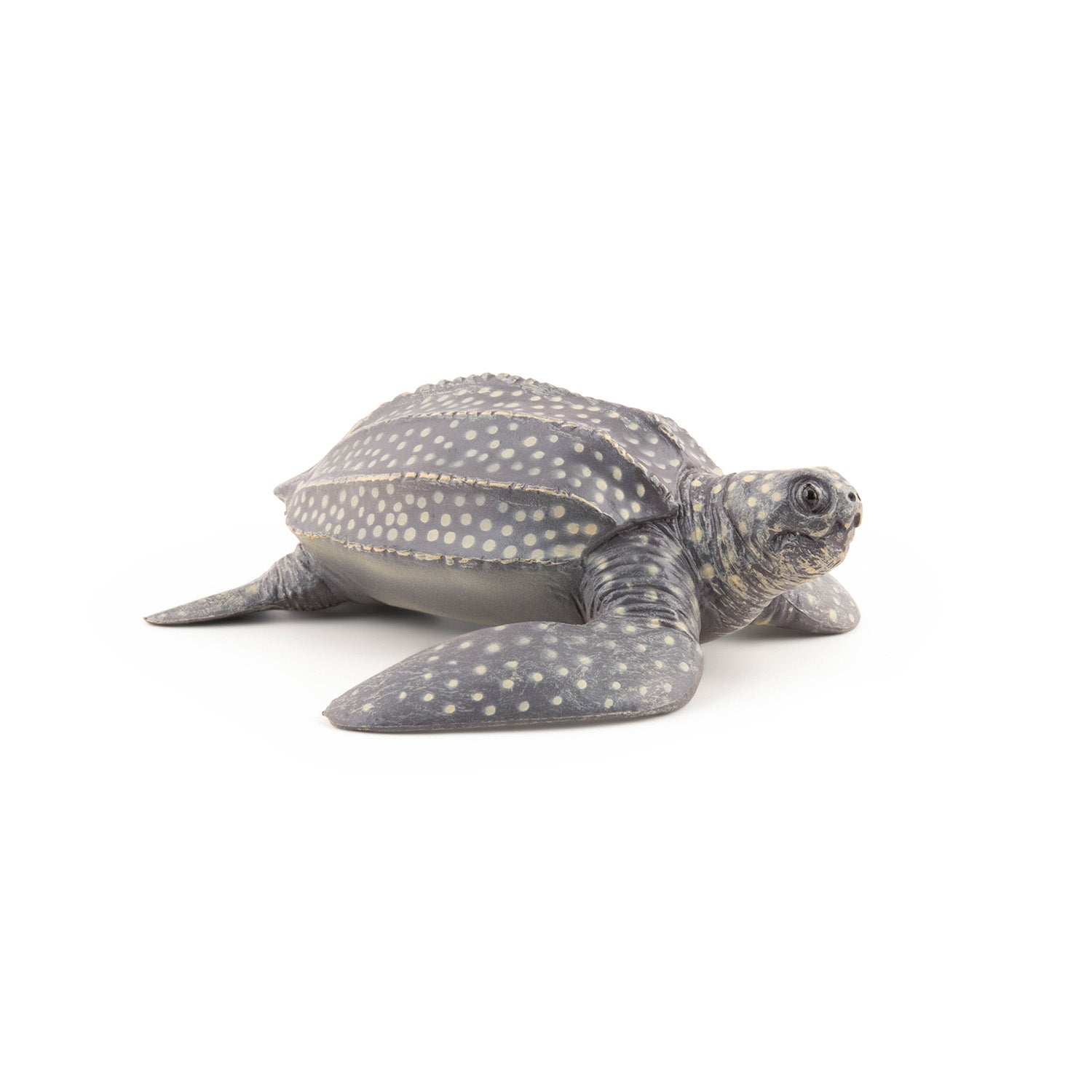 papo-marine-world-tortue-luth-figurine-marine image 4
