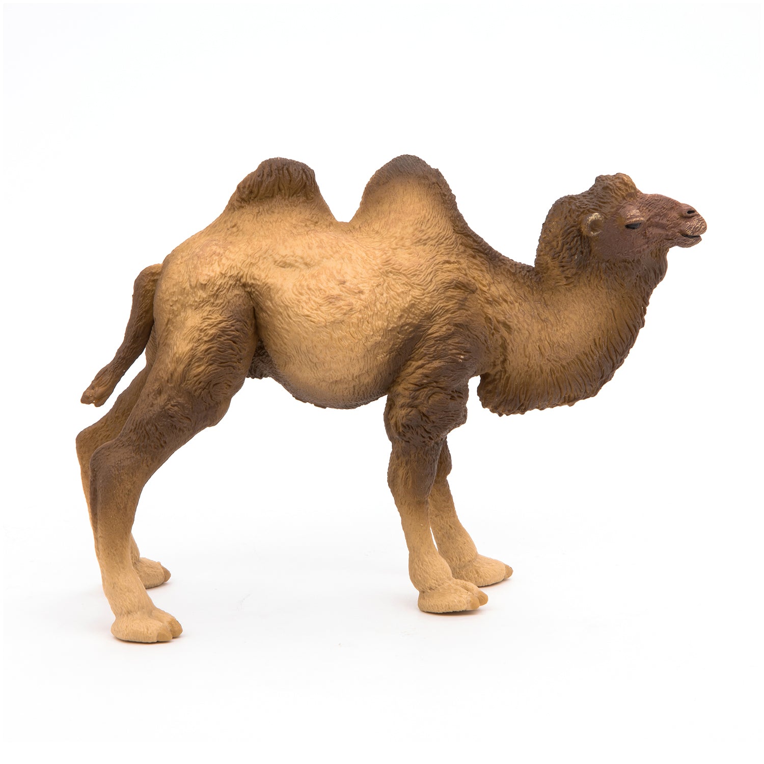 papo-wildlife-chameau-de-bactriane-figurine-d-sert image 4