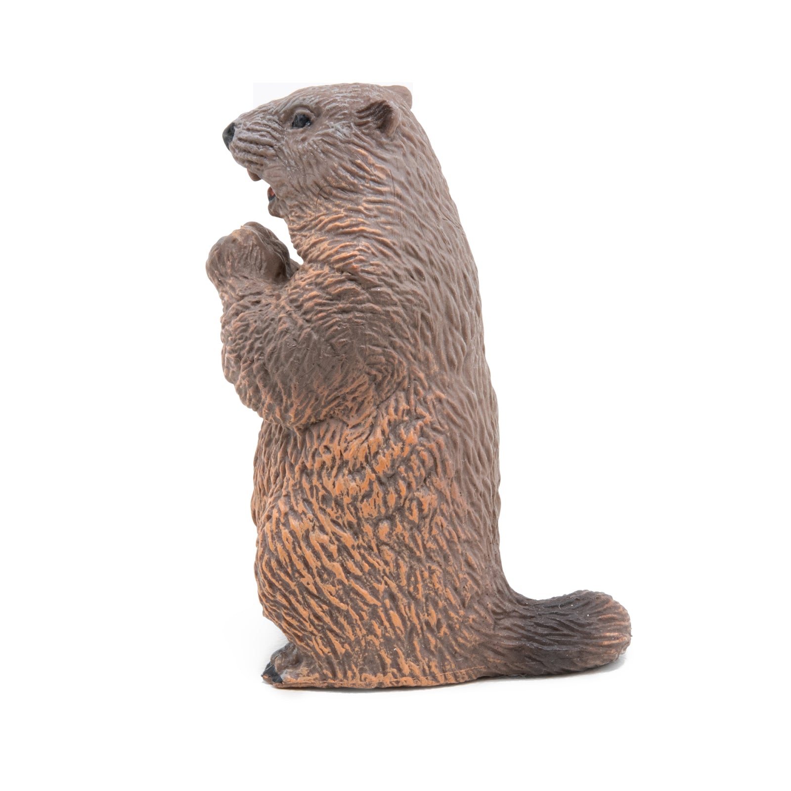 papo-wildlife-marmotte-figurine-animal-sauvage-alpin image 5