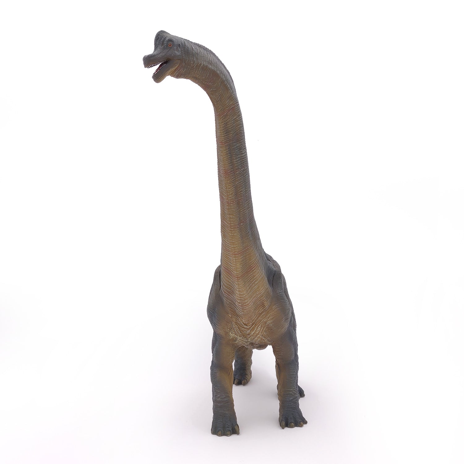 papo-dinosaurs-brachiosaure-figurine-dinosaure-herbivore-jurassique image 3