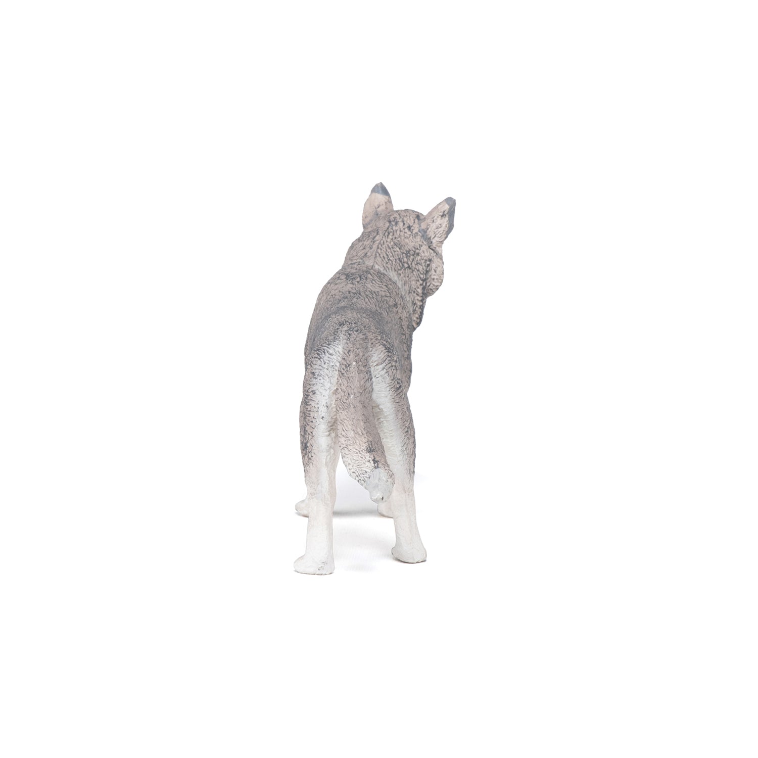 papo-dogs-cats-husky-de-sib-rie-figurine-chien-nordique image 5