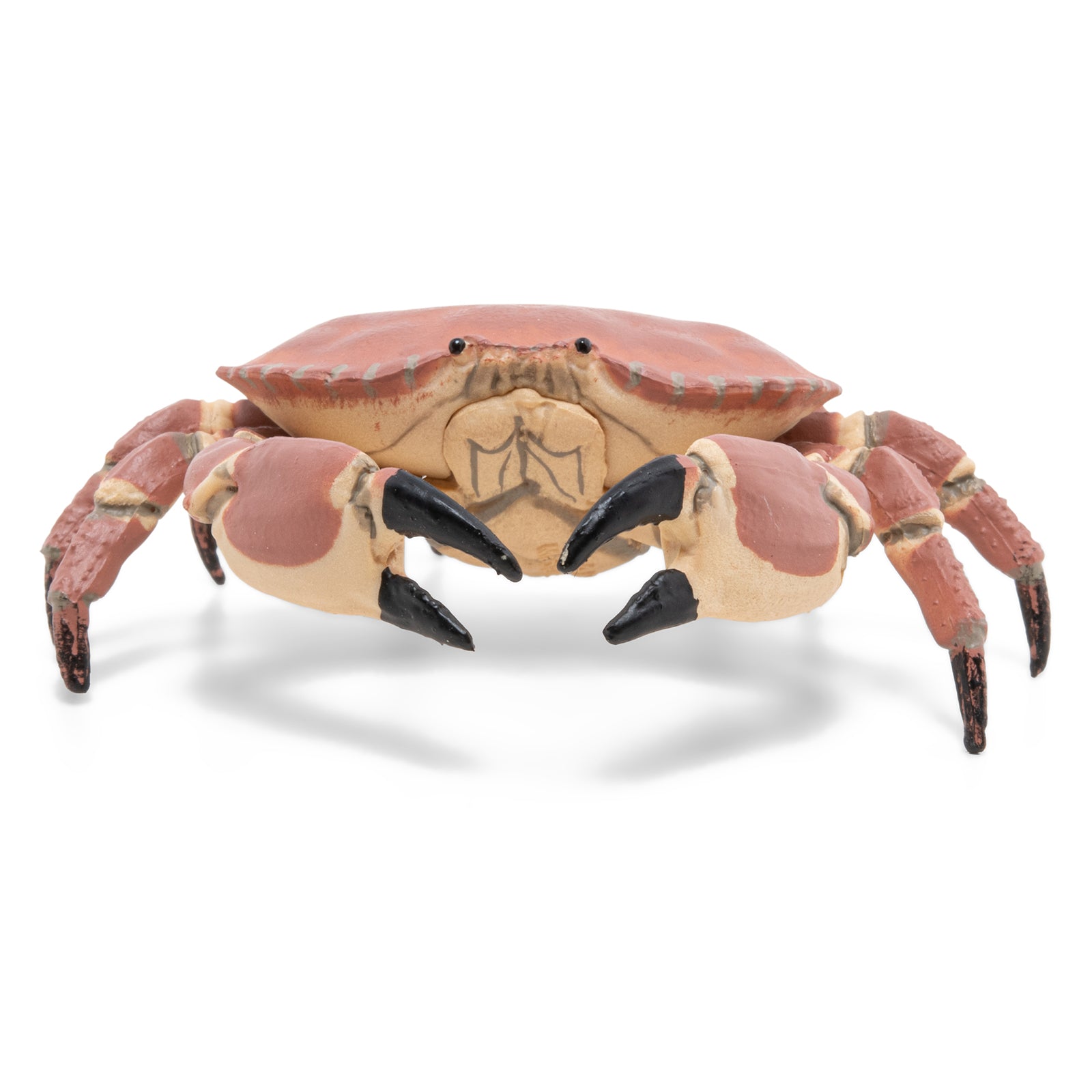 papo-marine-world-crabe-figurine-animal-marin-pinces image 4
