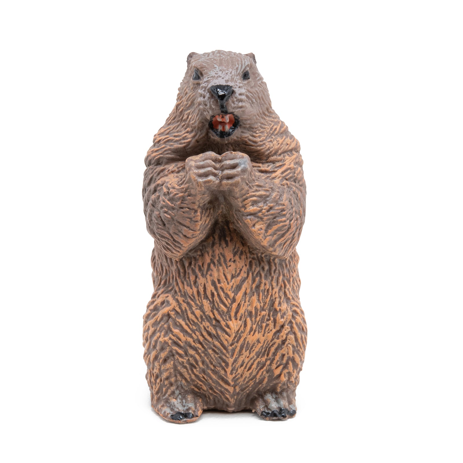 papo-wildlife-marmotte-figurine-animal-sauvage-alpin image 3