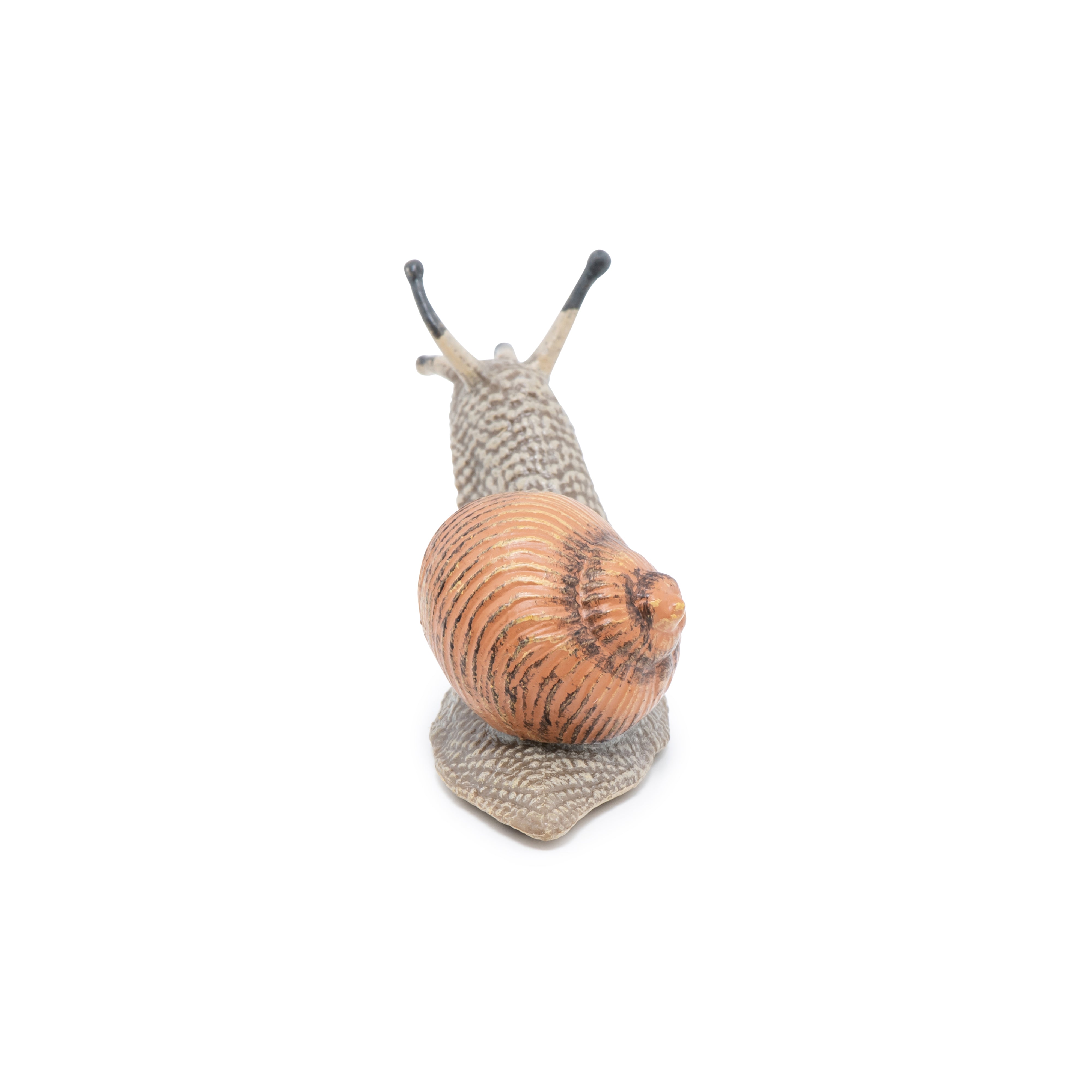 papo-garden-animals-figurine-escargot-coquille-lisse image 8