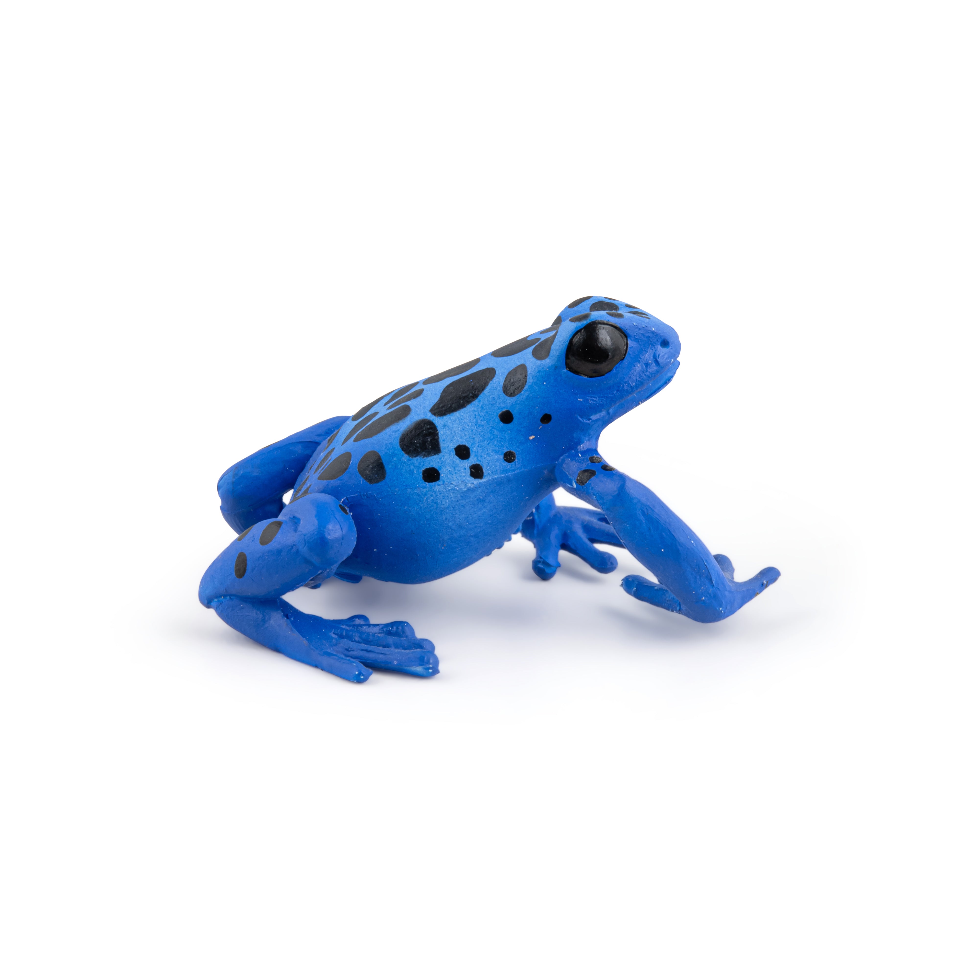 papo-wildlife-grenouille-quatoriale-bleue-figurine-tropicale image 3