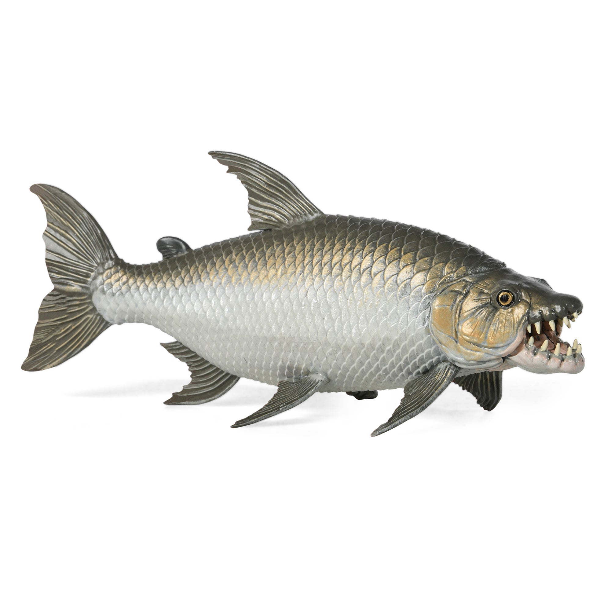 papo-marine-world-figurine-poisson-tigre-goliath-afrique image 1