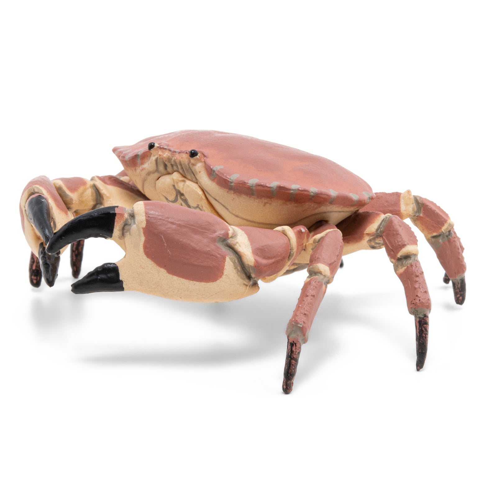 papo-marine-world-crabe-figurine-animal-marin-pinces image 6