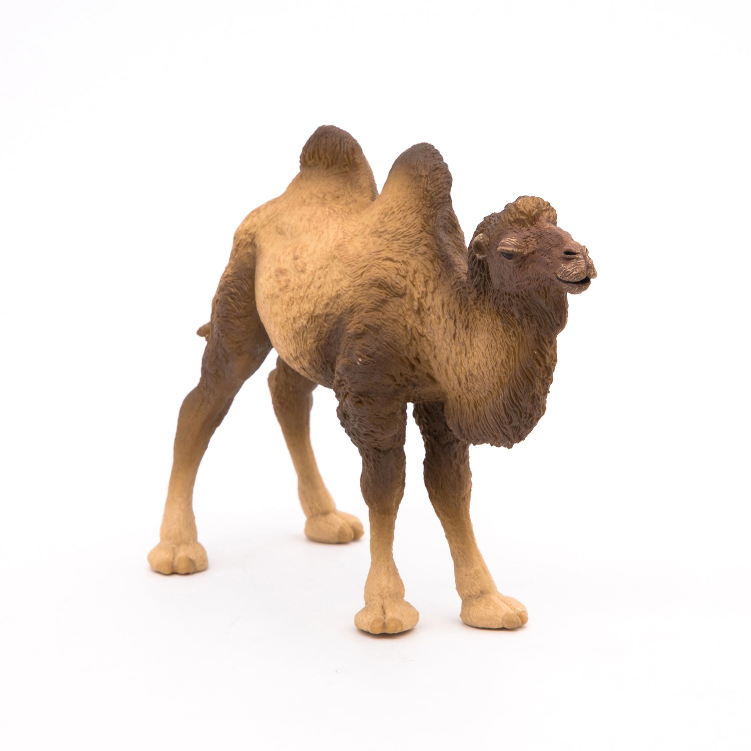 papo-wildlife-chameau-de-bactriane-figurine-d-sert image 3