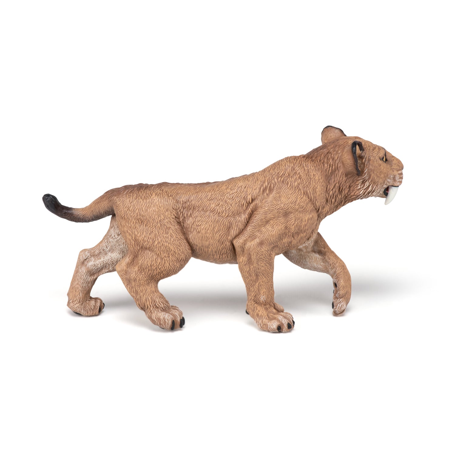 papo-dinosaures-jeune-smilodon-figurine-pr-historique image 4