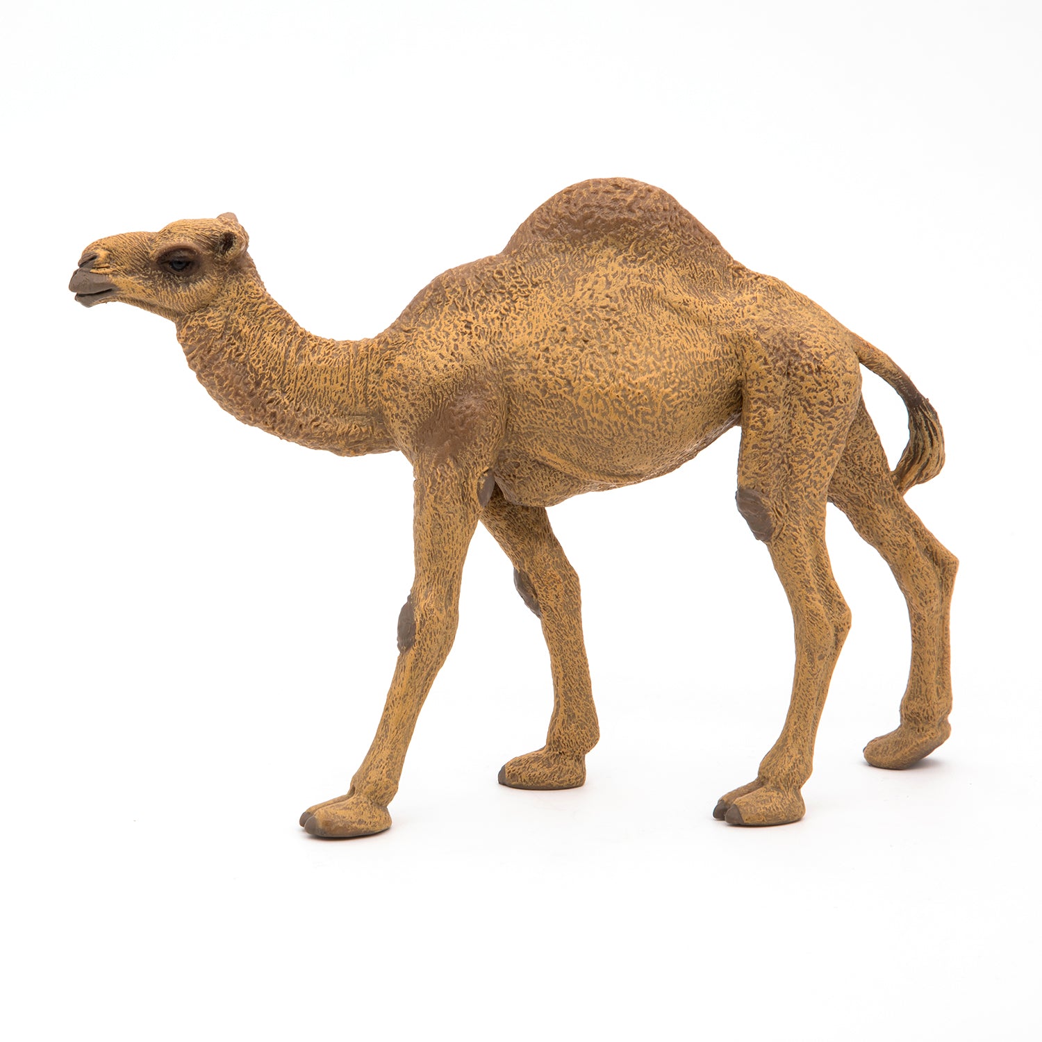 papo-wildlife-dromadaire-figurine-animal-d-sert image 6