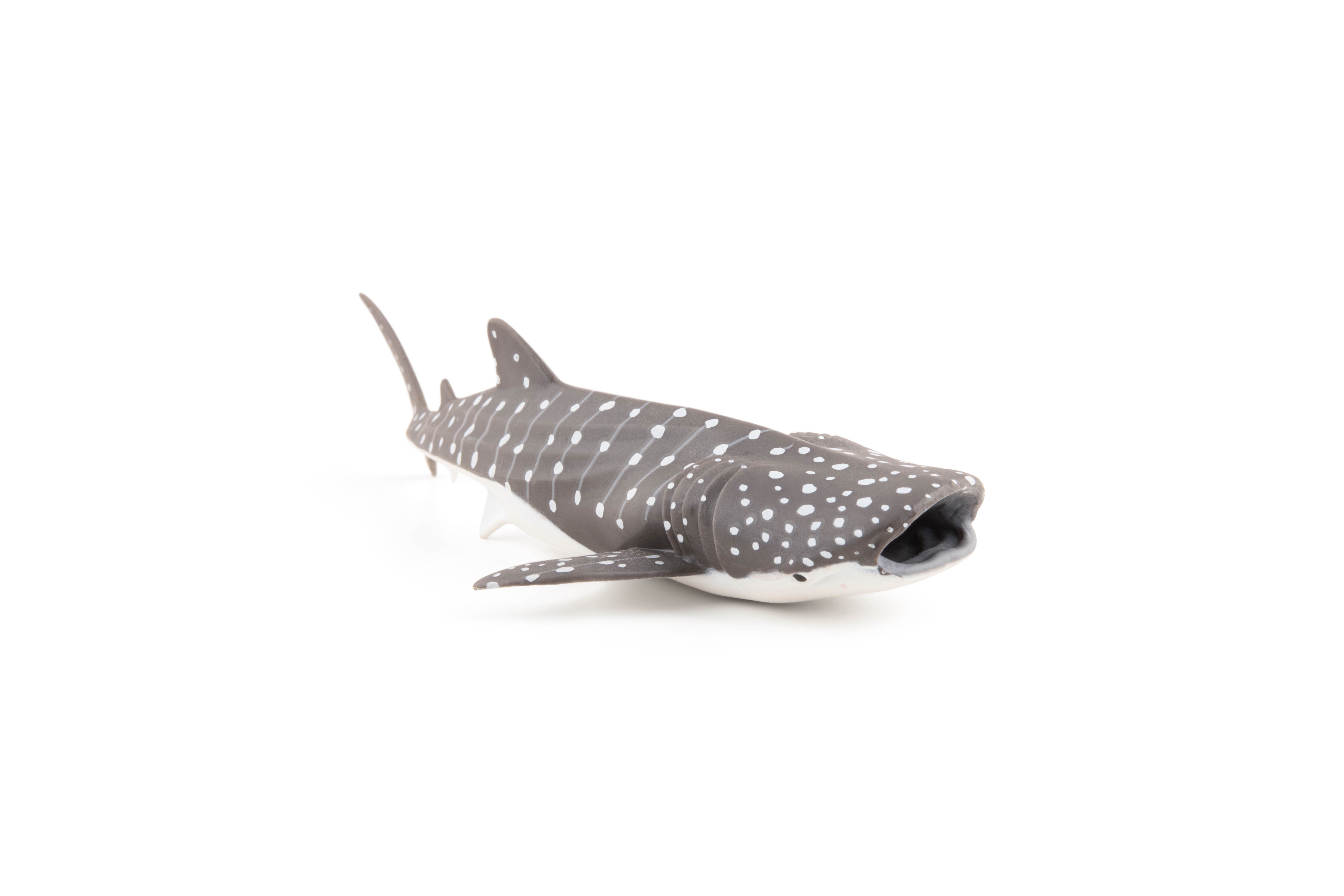 papo-marine-world-jeune-requin-baleine-figurine-bleu-tachet image 5