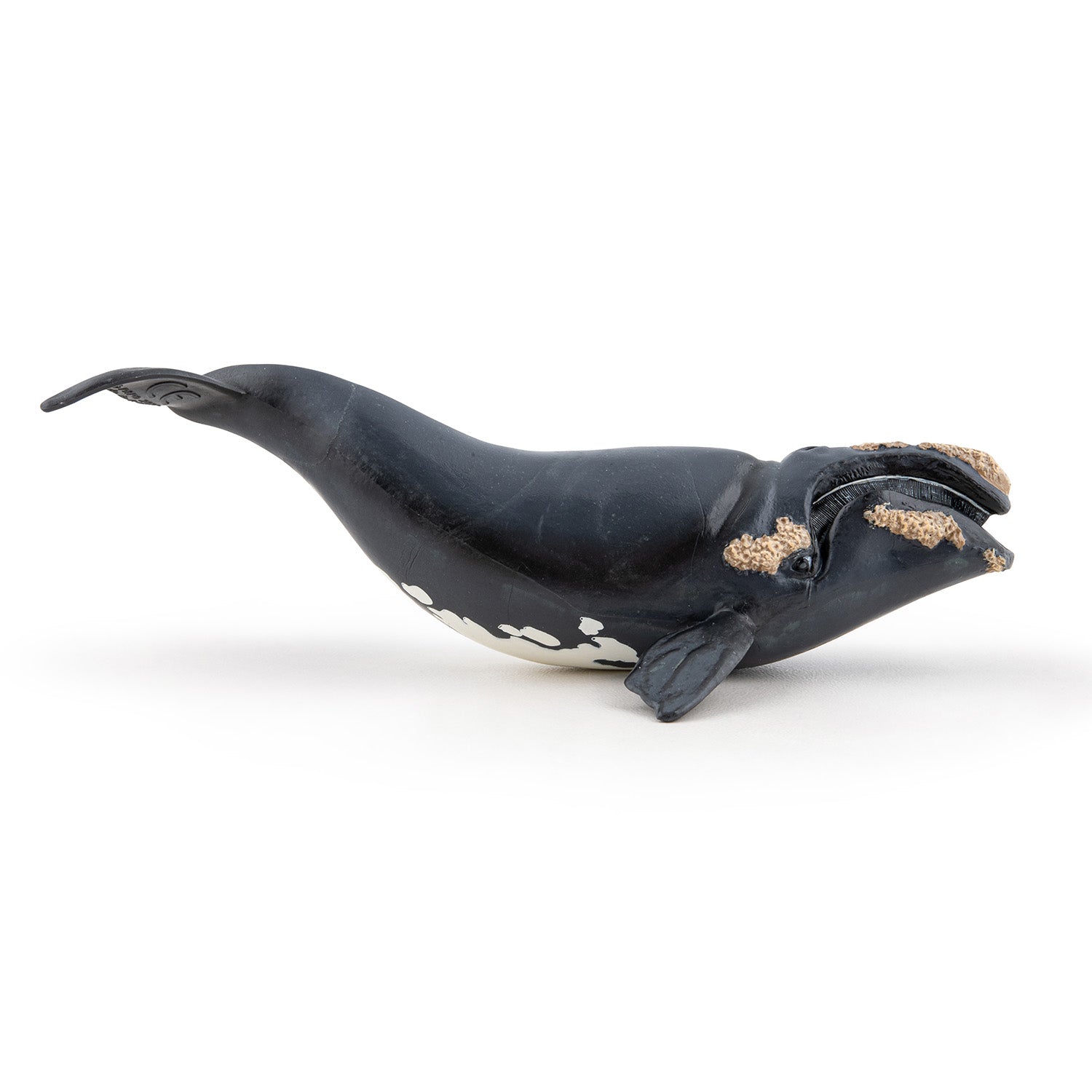 papo-marine-world-baleine-franche-figurine-c-tac-plancton image 5