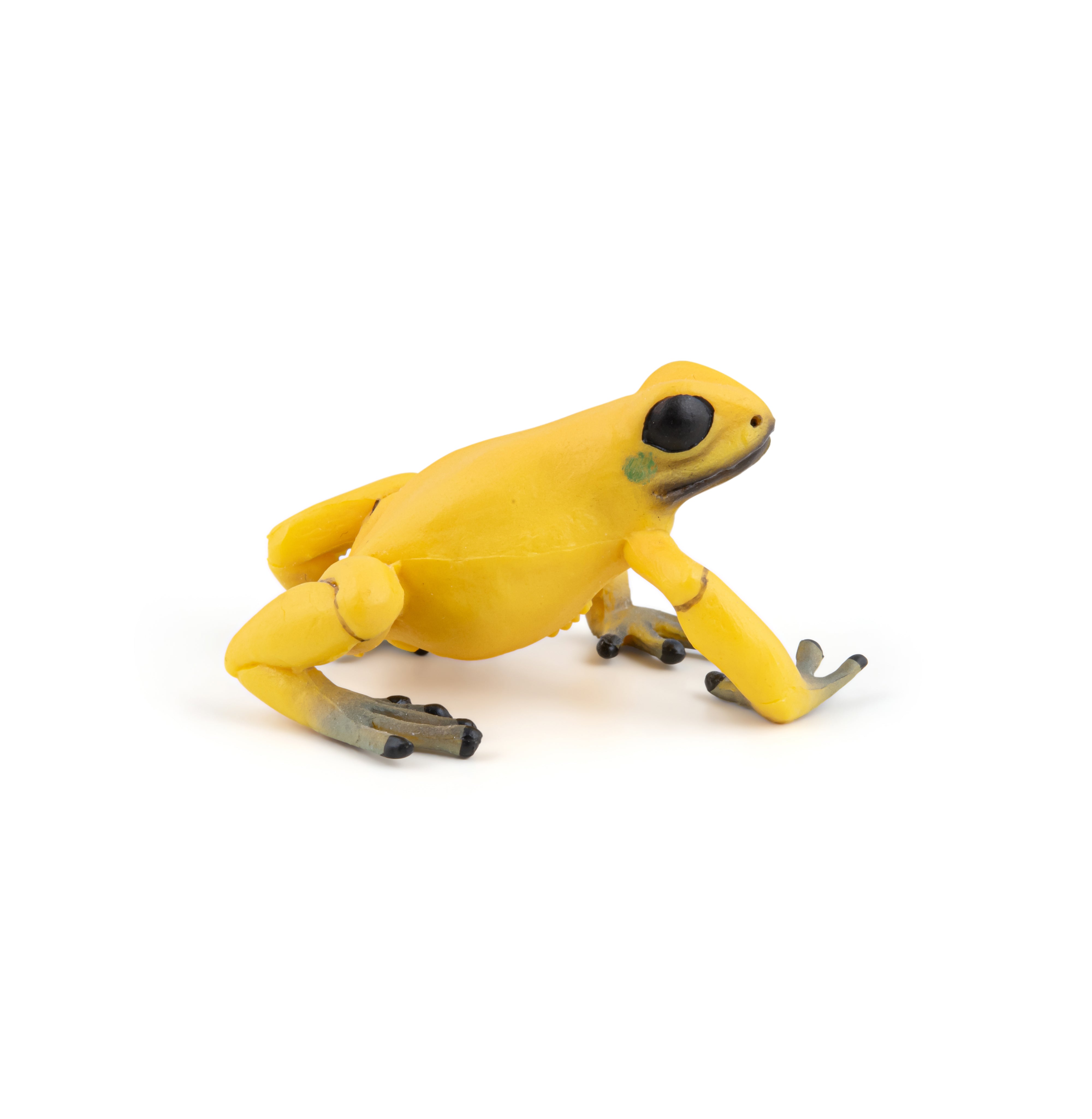 papo-wildlife-grenouille-quatoriale-jaune-figurine-amphibien image 4