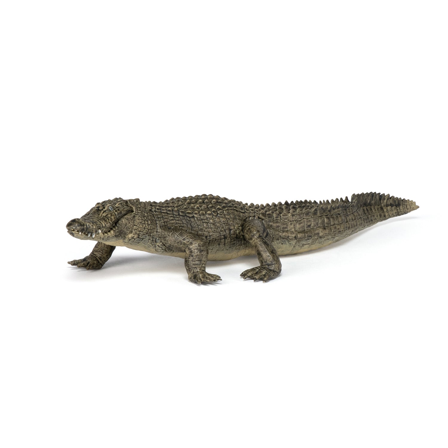 papo-wildlife-figurine-alligator-reptile-marais image 6