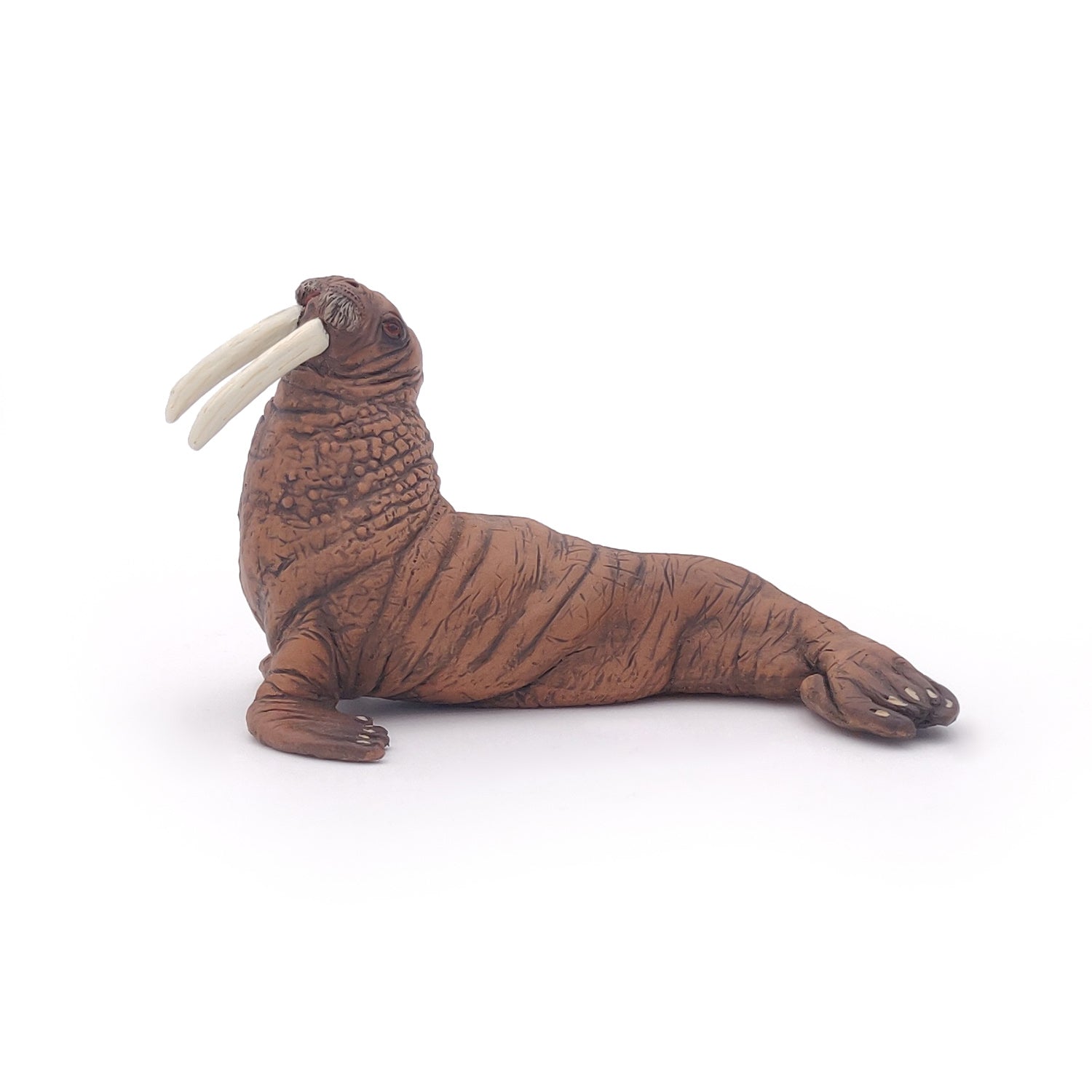 papo-marine-world-morse-figurine-animal-marin-arctique image 3