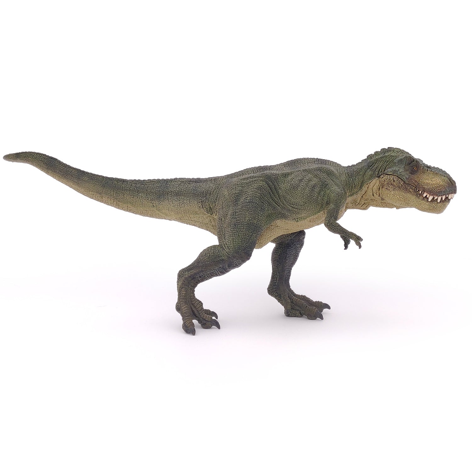 papo-dinosaurs-figurine-t-rex-courant-vert-m-choire-articul-e image 8
