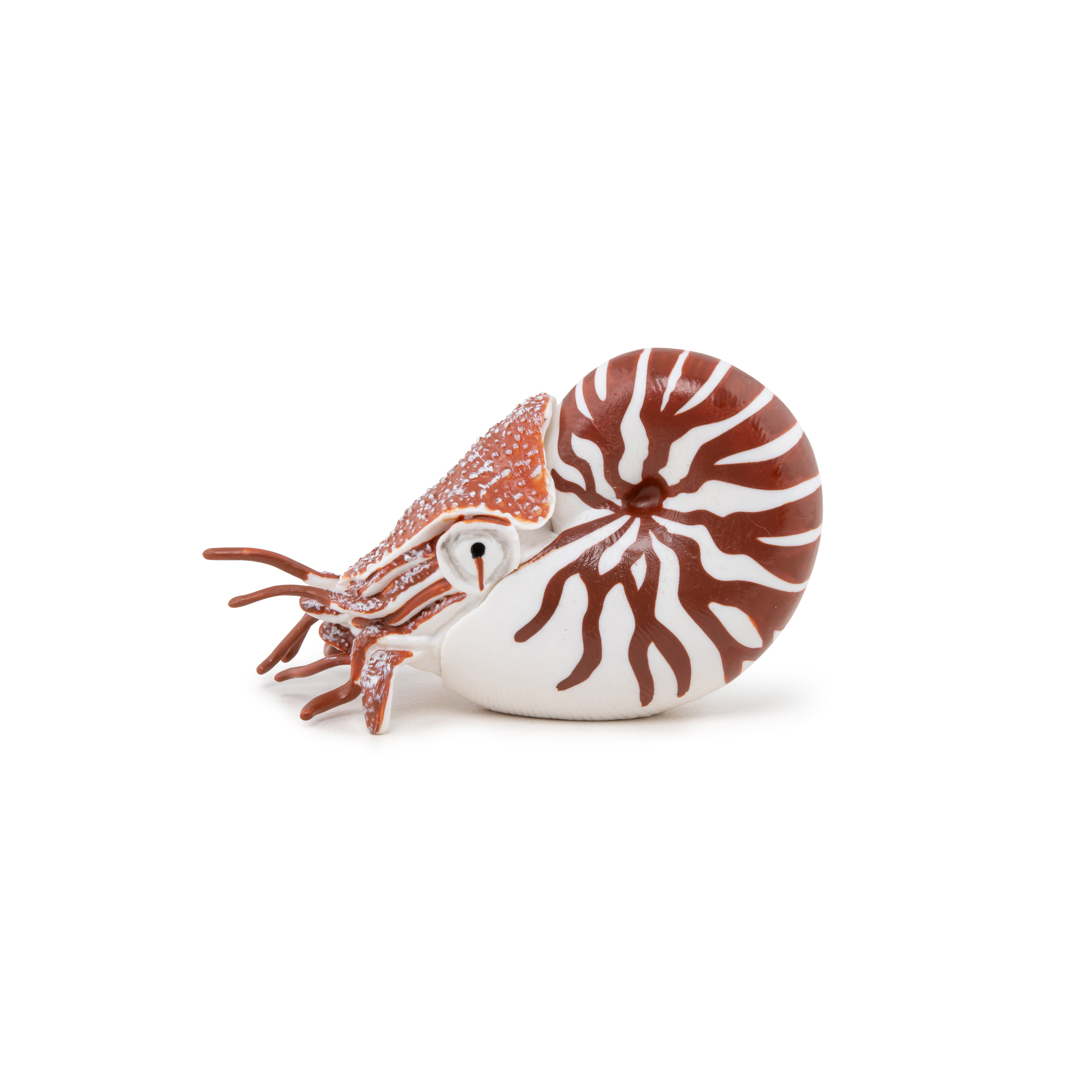 papo-marine-world-nautile-figurine-coquille-spiral-e image 2