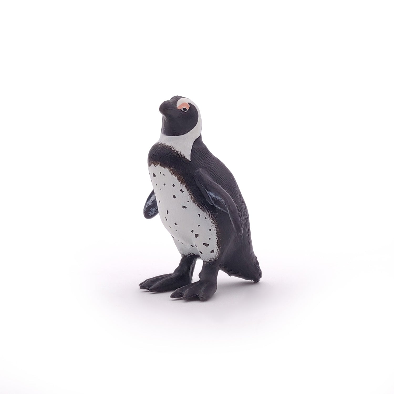 papo-marine-world-manchot-du-cap-figurine-oiseau-marin image 4