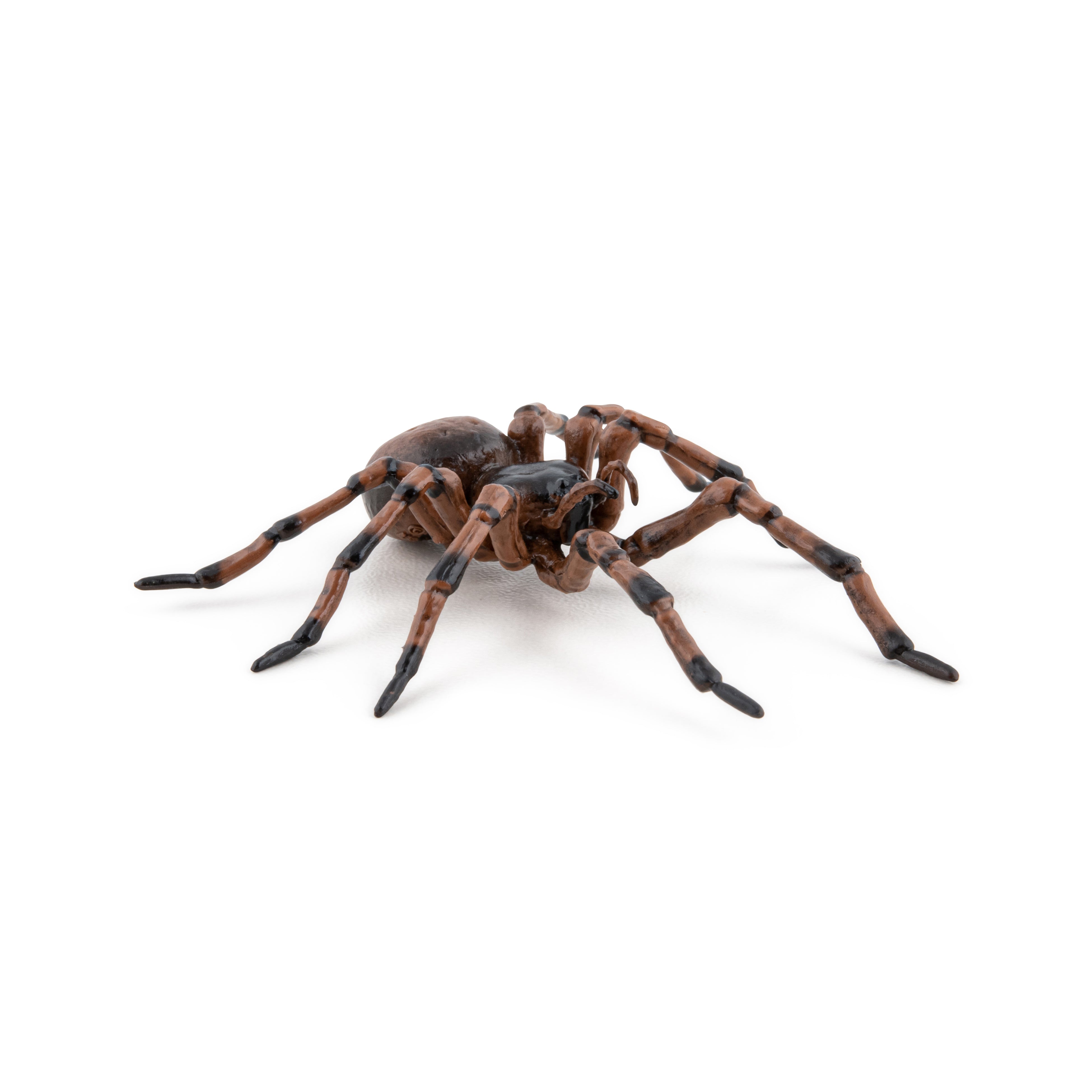 papo-garden-animals-araign-e-commune-figurine-insecte-jardin image 5