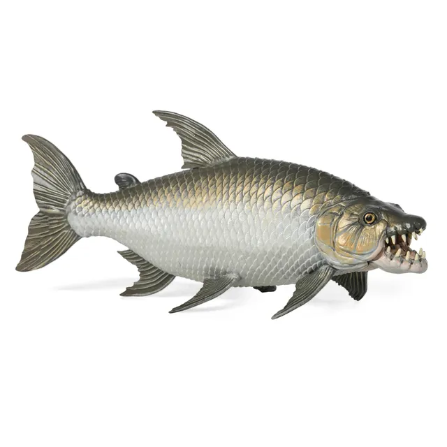 papo-marine-world-figurine-poisson-tigre-goliath-afrique image 1