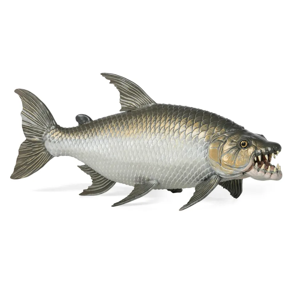 papo-marine-world-figurine-poisson-tigre-goliath-afrique image 1