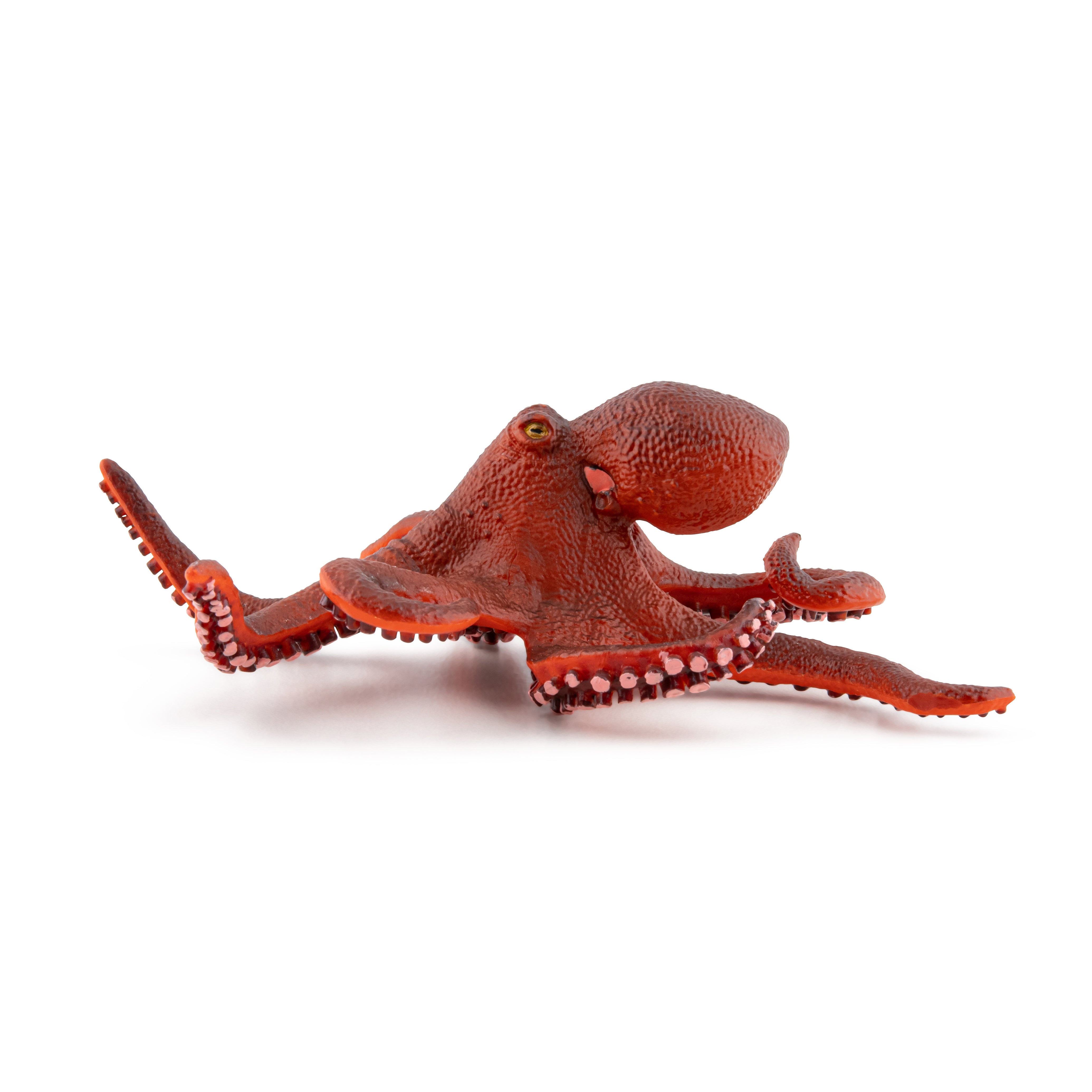 papo-marine-world-figurine-petite-pieuvre-animal-marin image 7