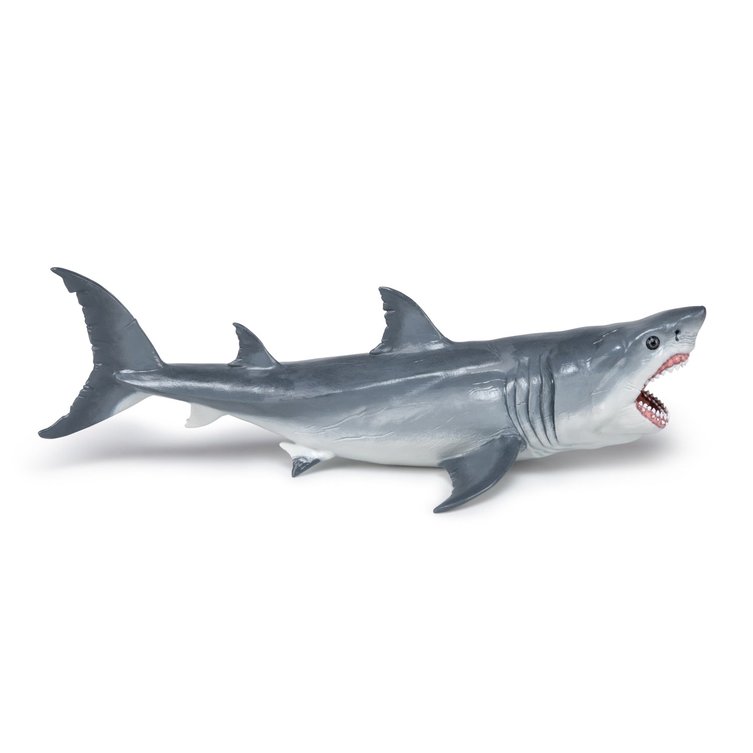 papo-dinosaurs-figurine-m-galodon-requin-pr-historique-g-ant image 4