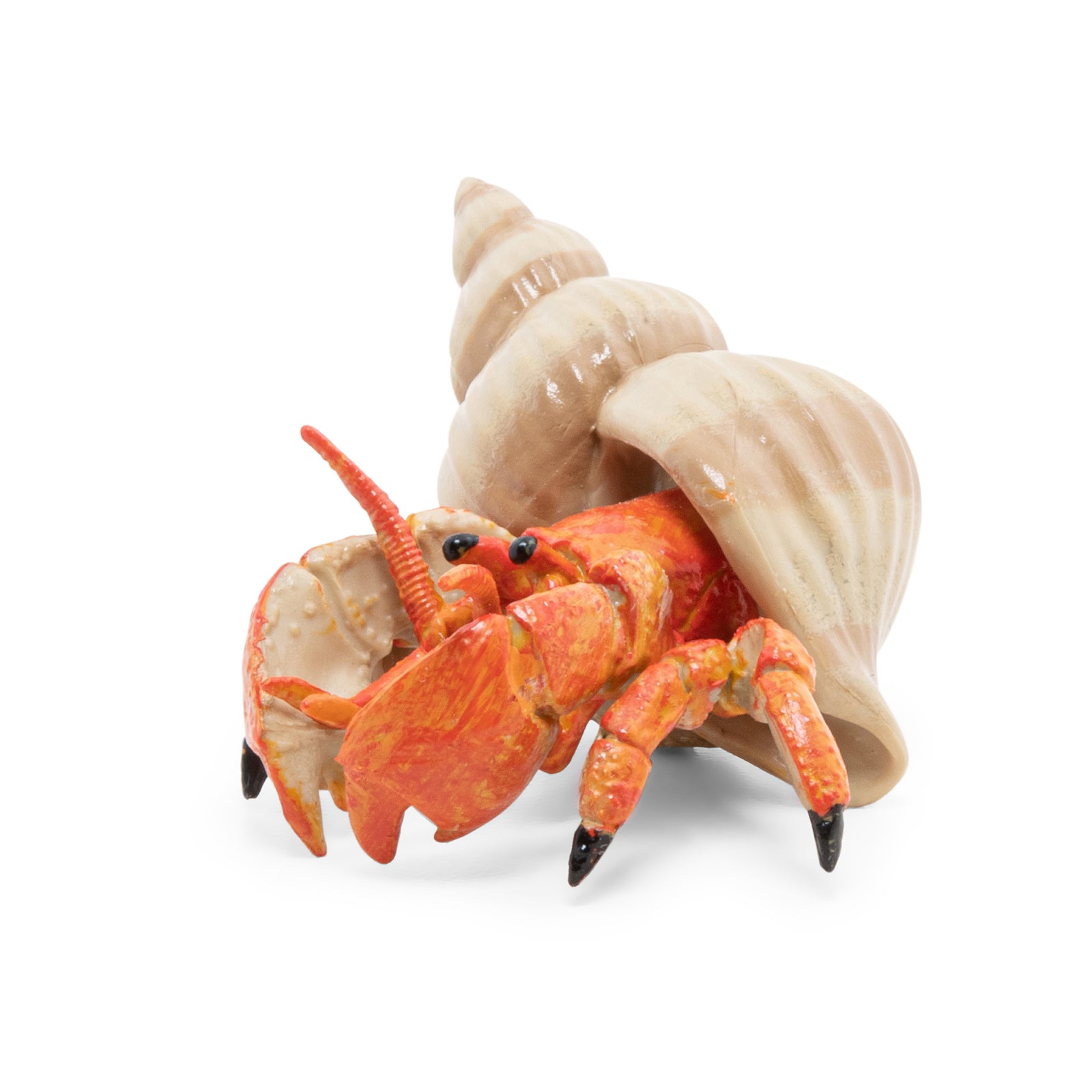 papo-marine-world-bernard-l-hermite-figurine-crabe-coquille image 5