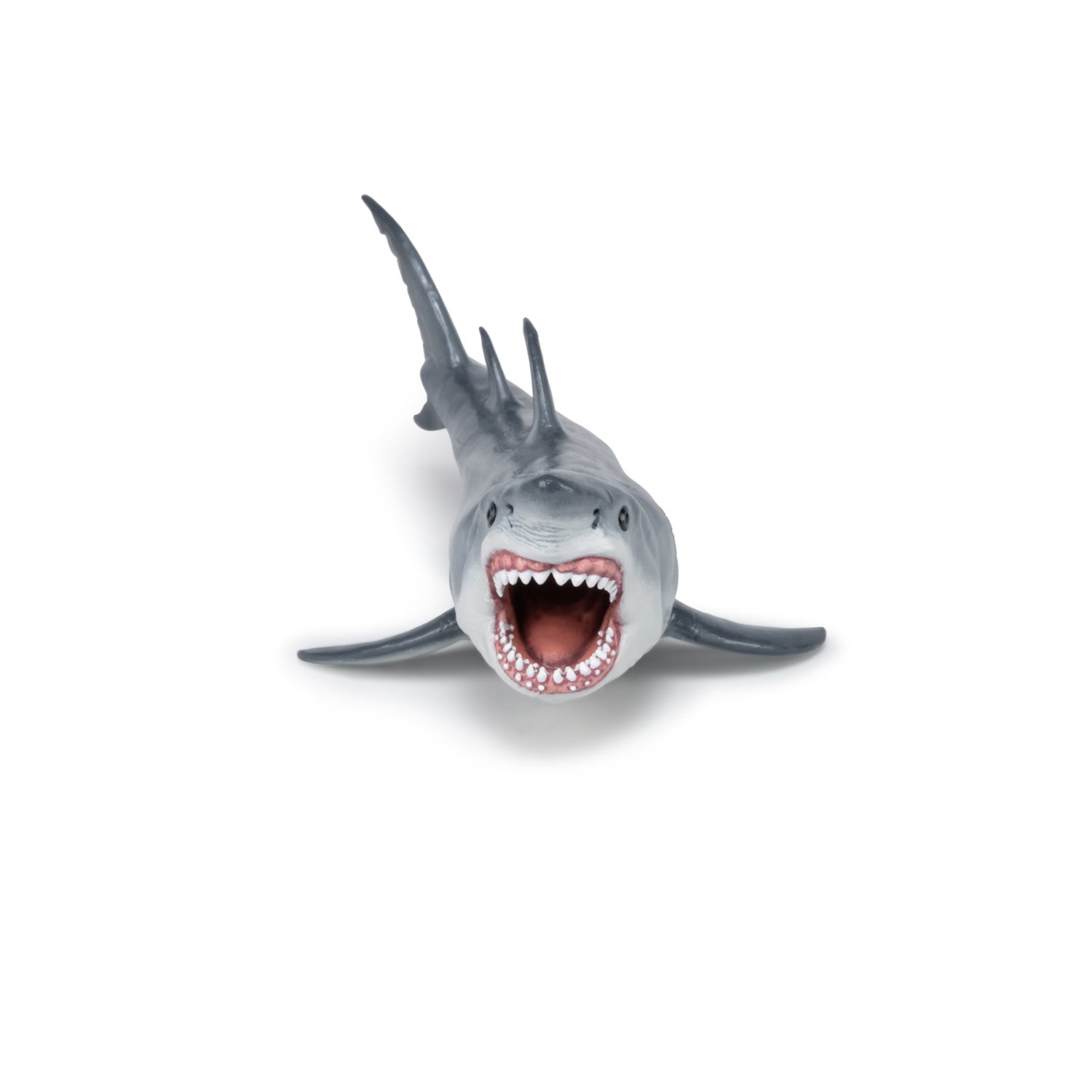 papo-dinosaurs-figurine-m-galodon-requin-pr-historique-g-ant image 5