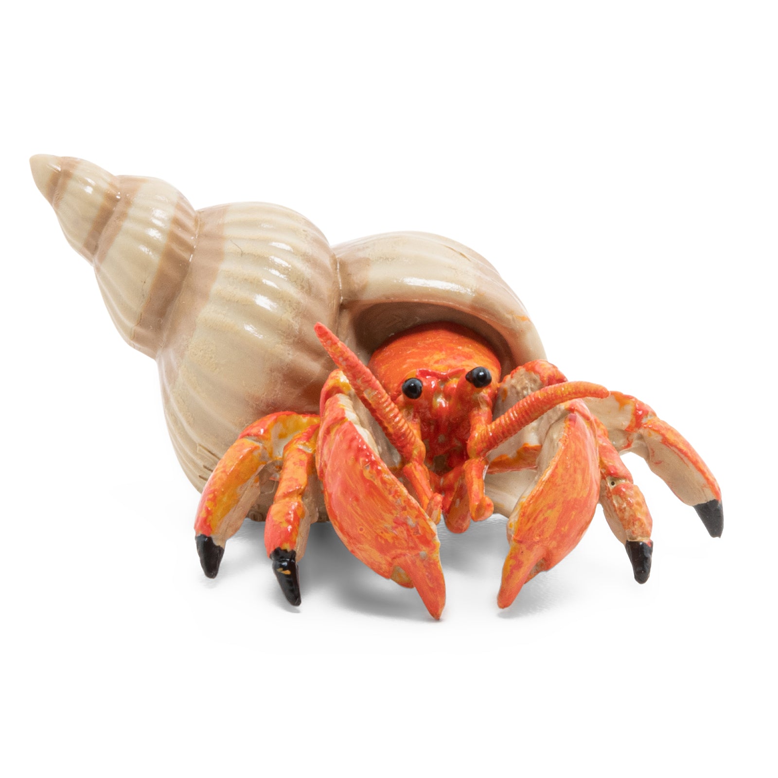 papo-marine-world-bernard-l-hermite-figurine-crabe-coquille image 1
