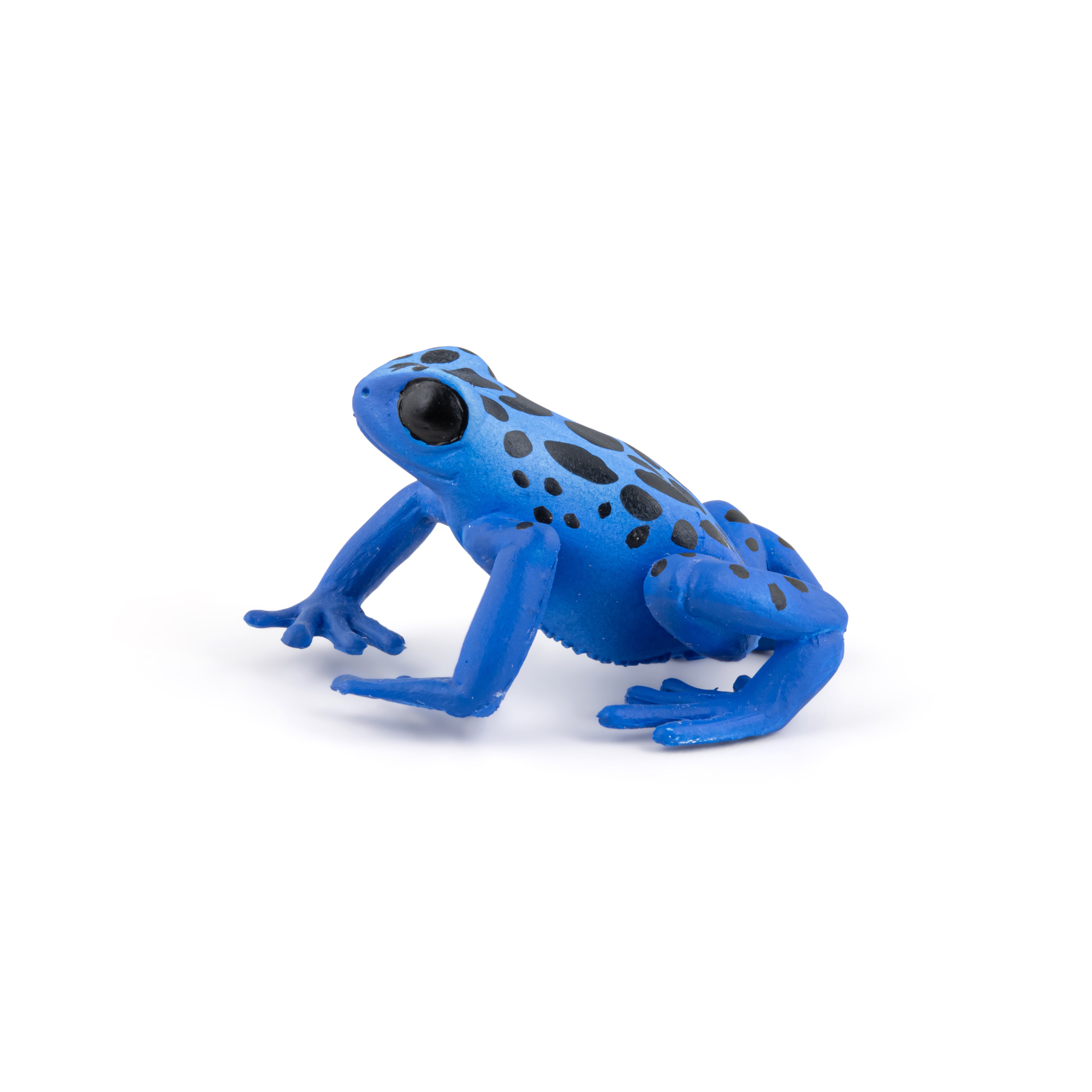 papo-wildlife-grenouille-quatoriale-bleue-figurine-tropicale image 2