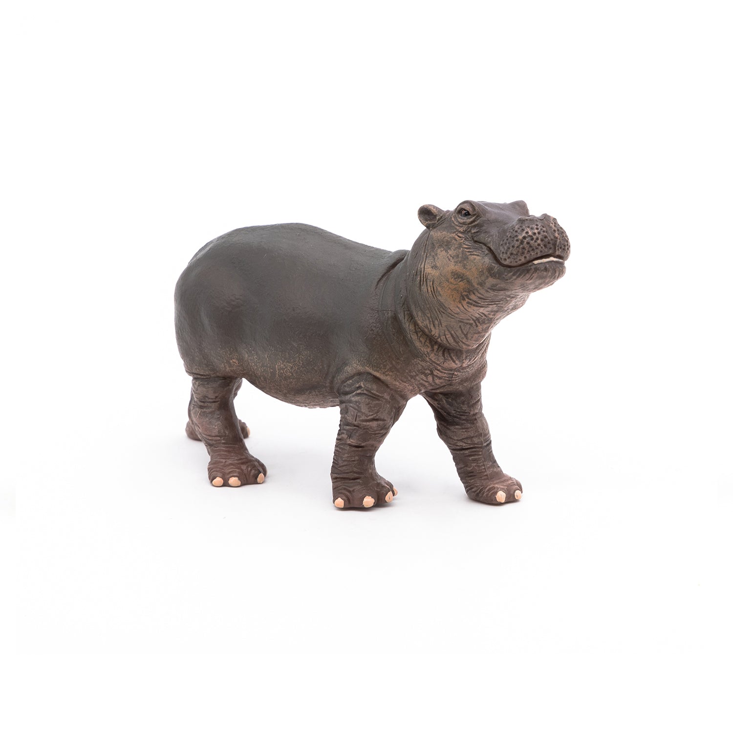 papo-wildlife-b-b-hippopotame-figurine-savane image 3